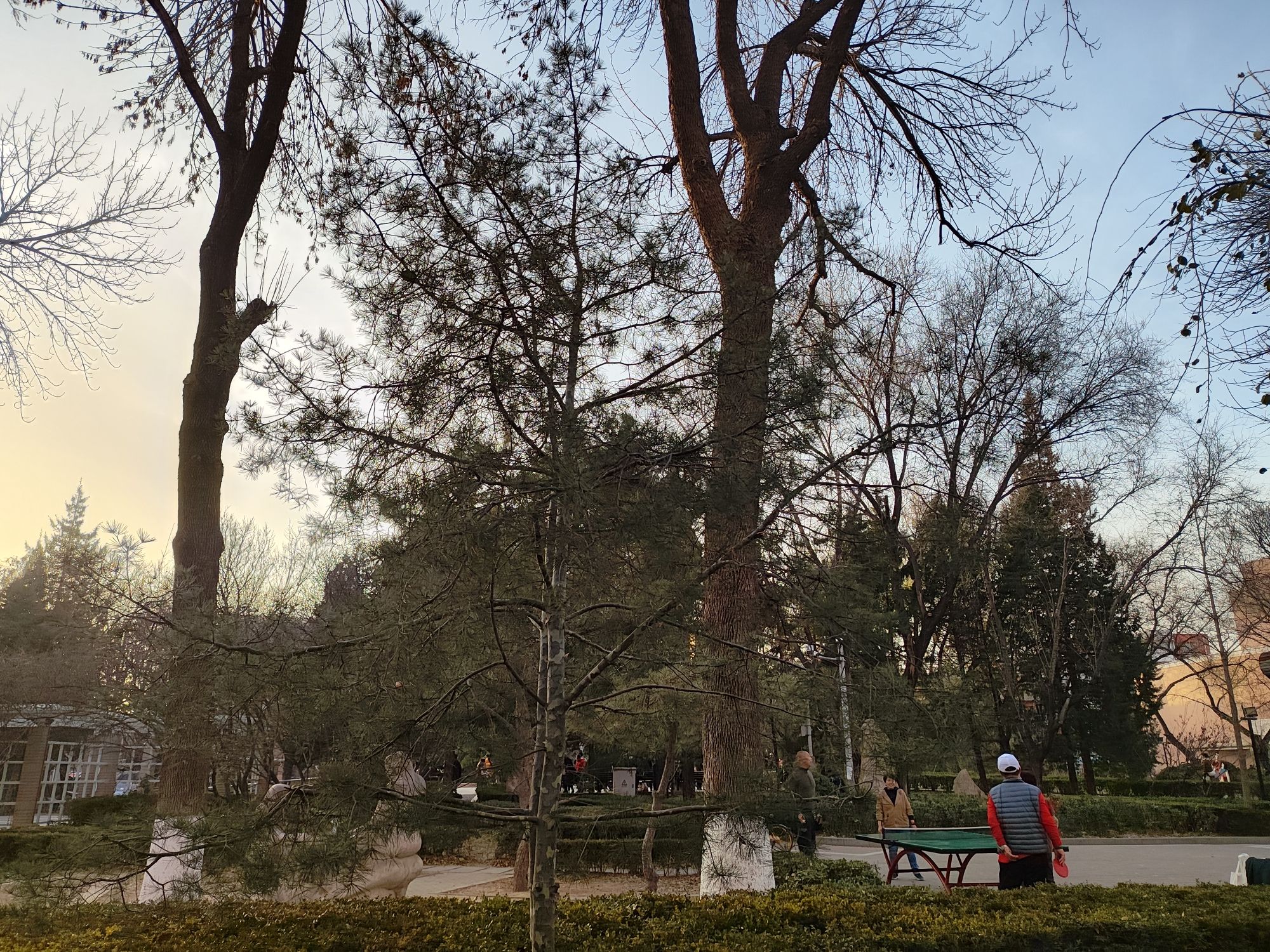 双榆树公园旅行图片 2
