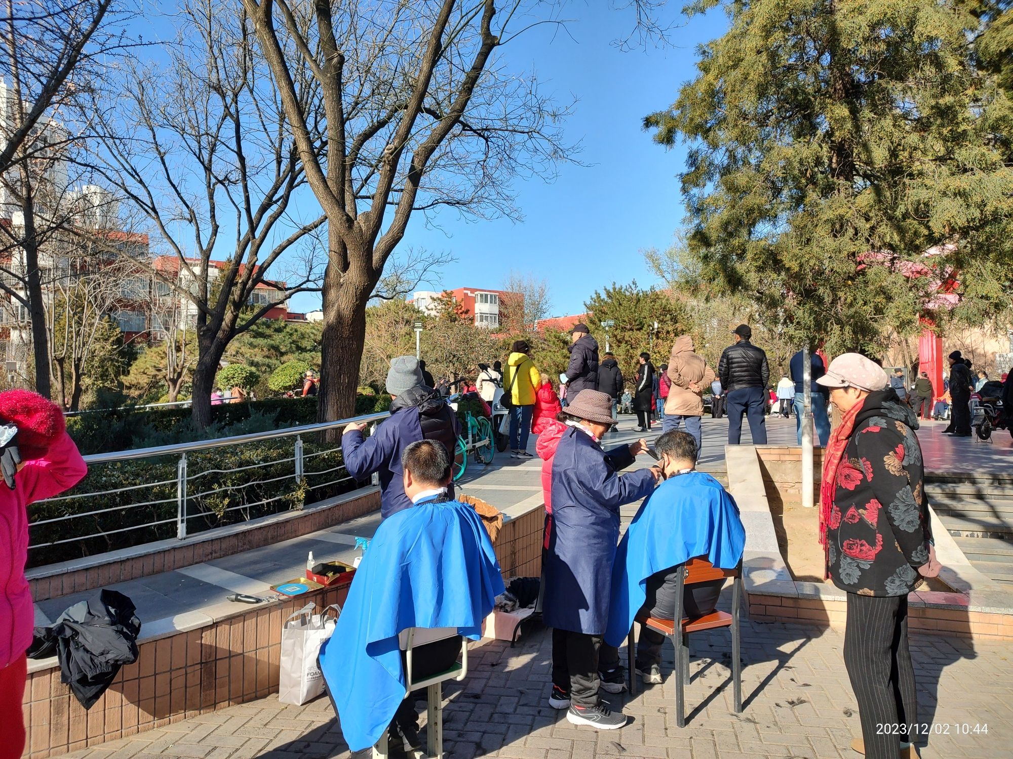 双榆树公园旅行图片 2