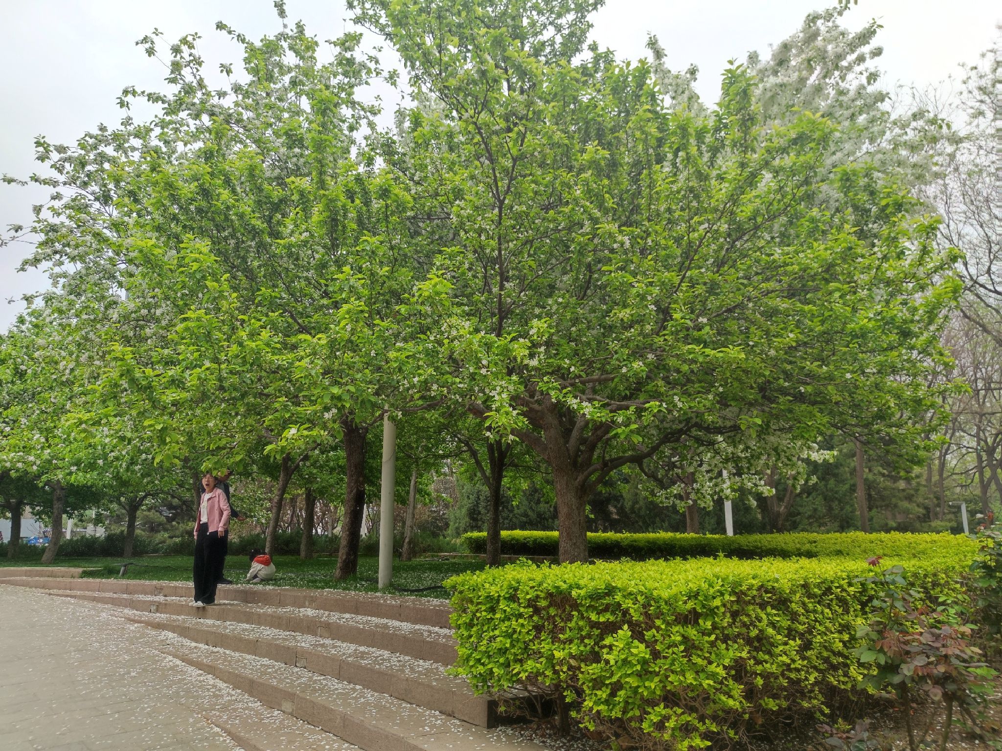 马甸公园旅行图片 1