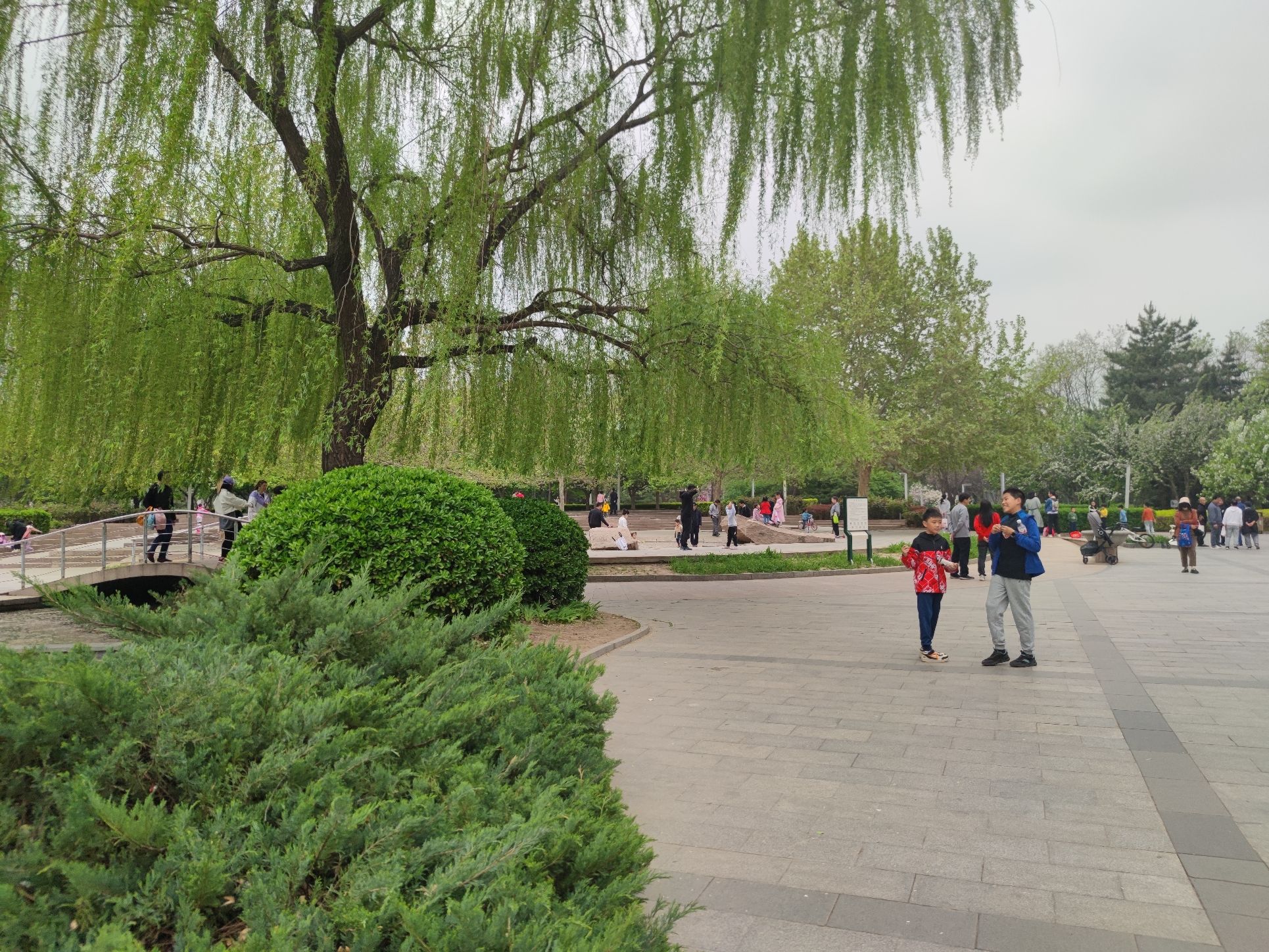 马甸公园旅行图片 3