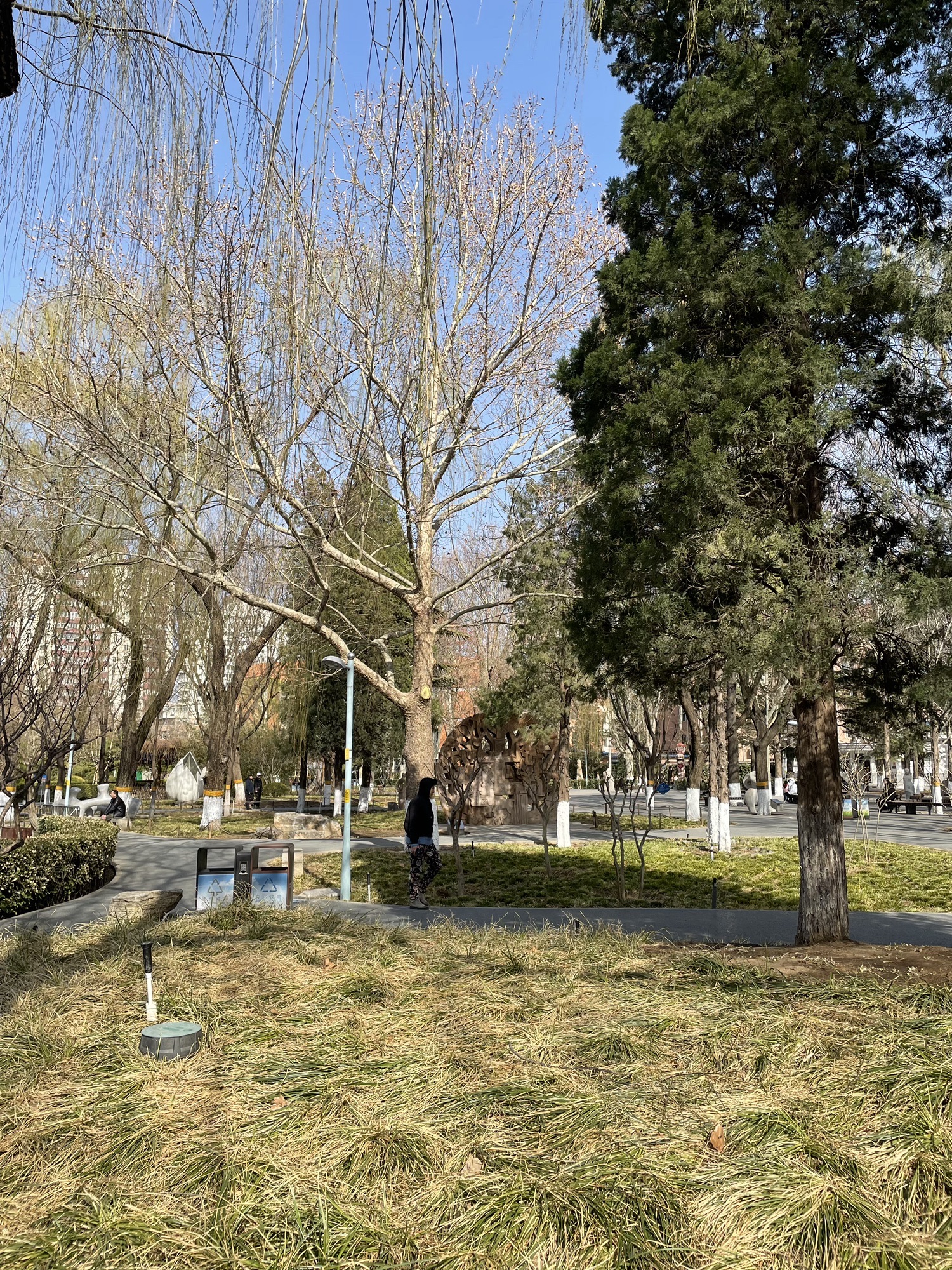 石景山雕塑公园旅行图片 1