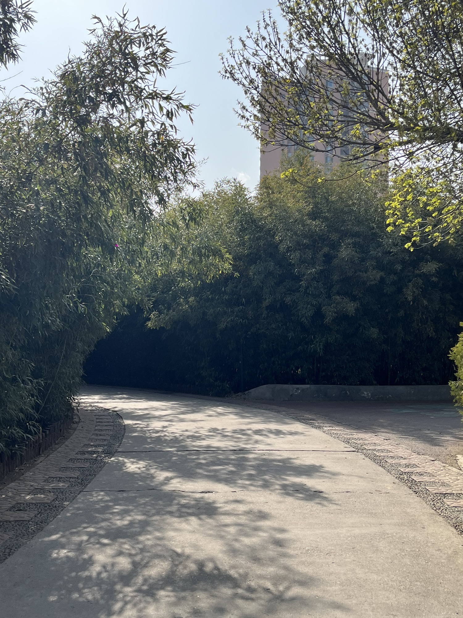 莲花池公园旅行图片 1