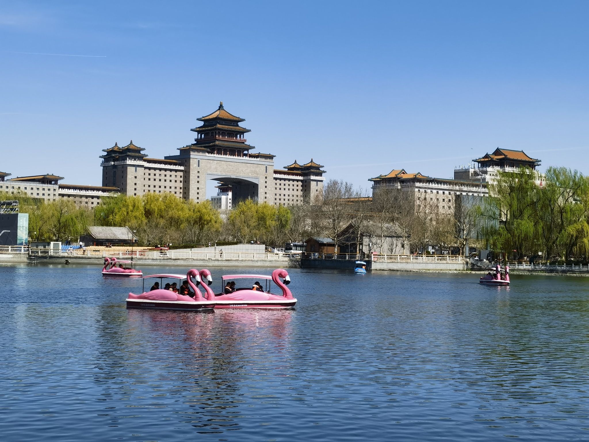 莲花池公园旅行图片 2