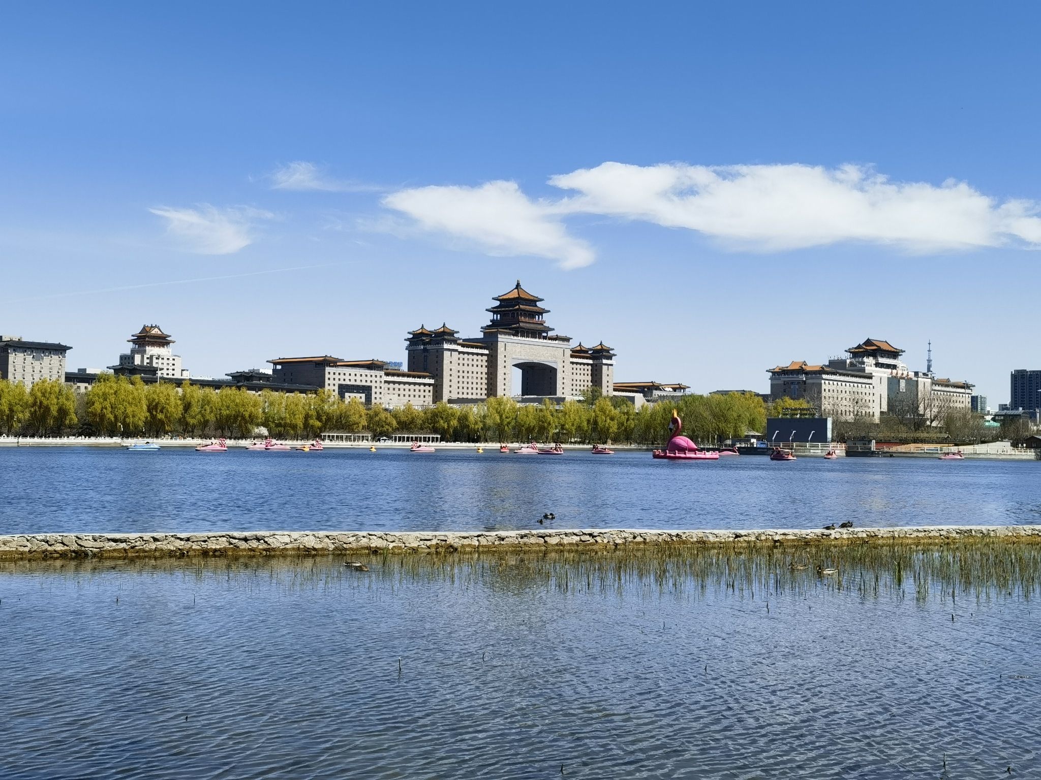 莲花池公园旅行图片 1