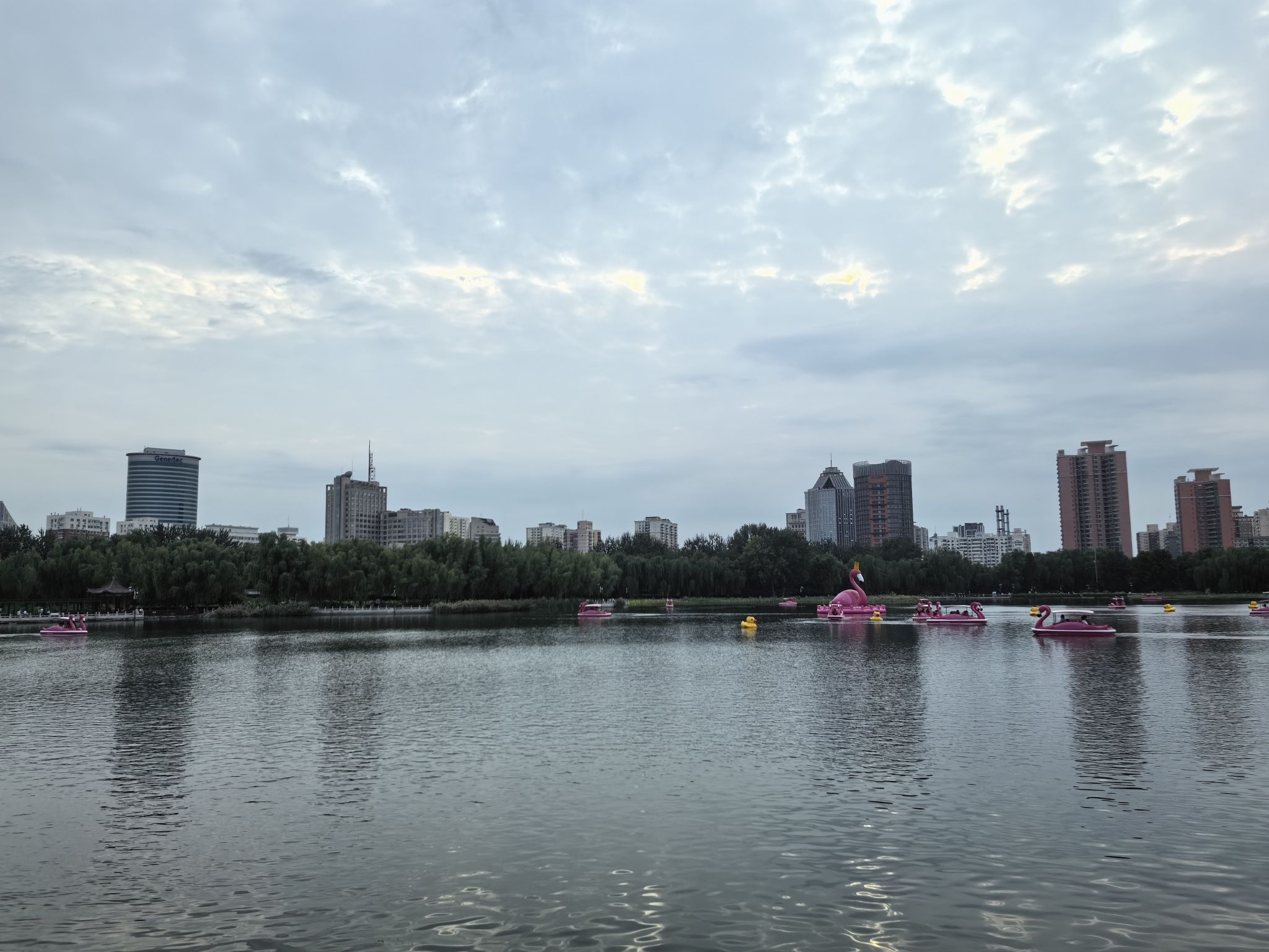 莲花池公园旅行图片 3
