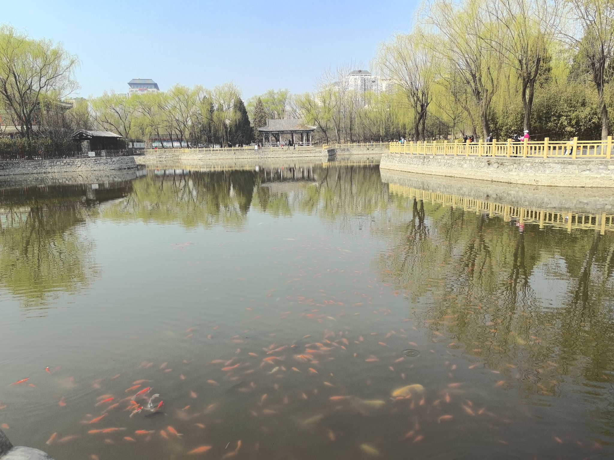兴隆公园旅行图片 3