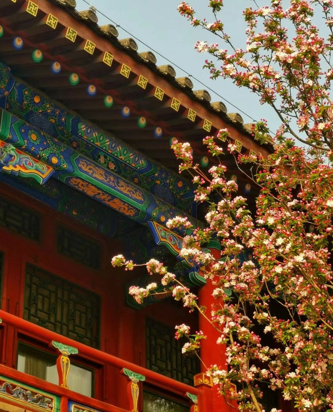 恭王府博物馆旅行图片 2