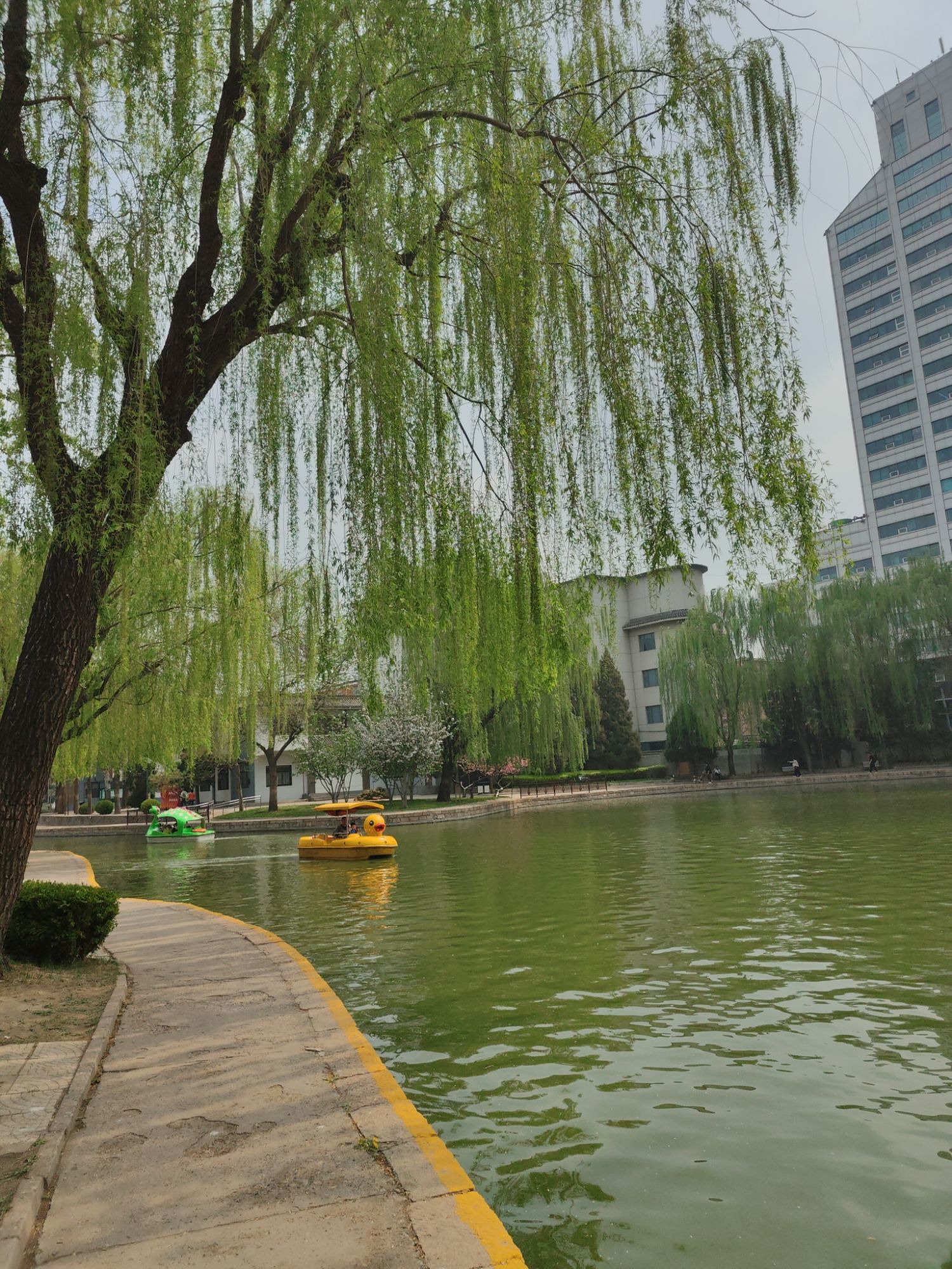 团结湖公园旅行图片 2
