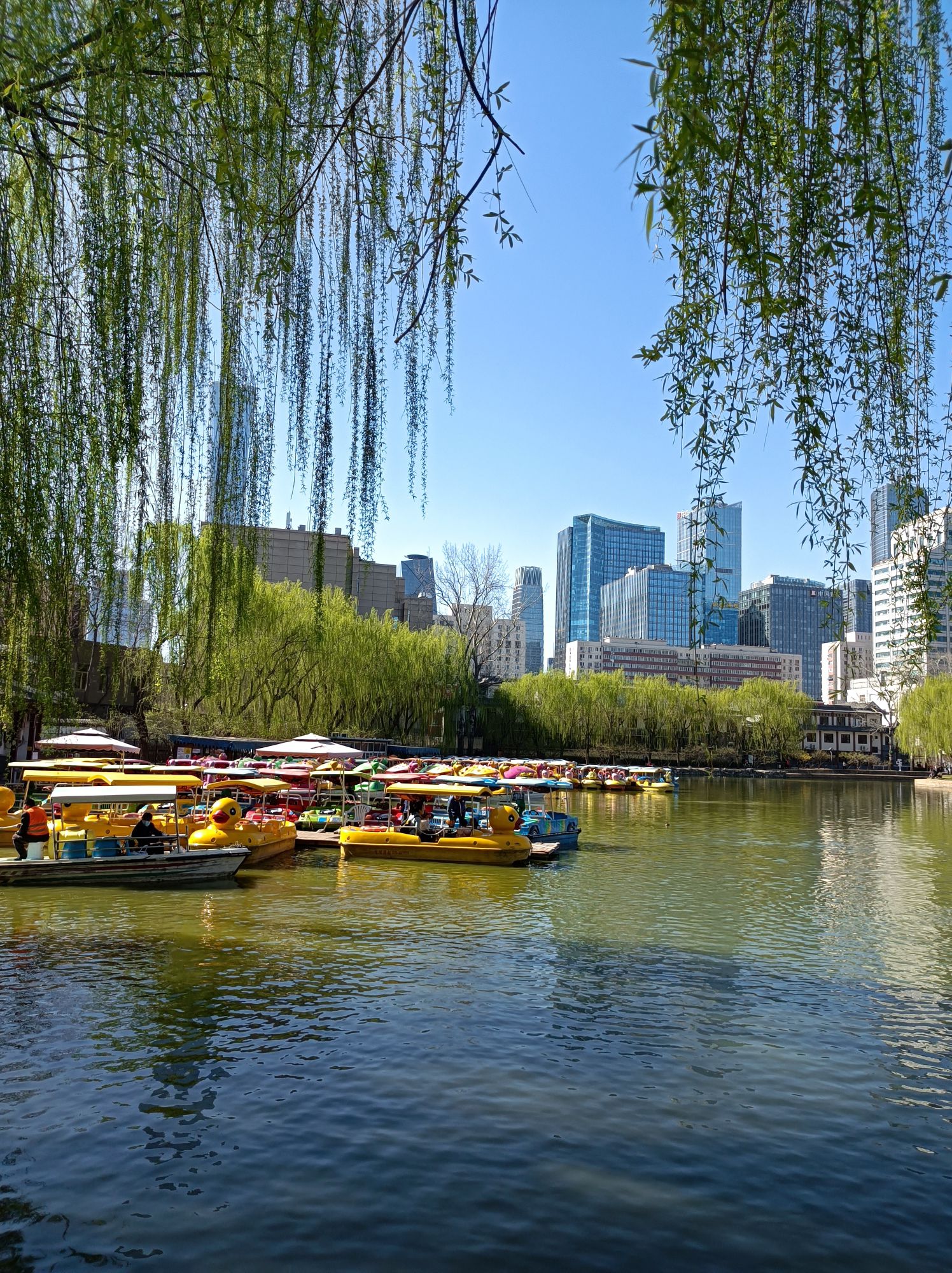 团结湖公园旅行图片 2