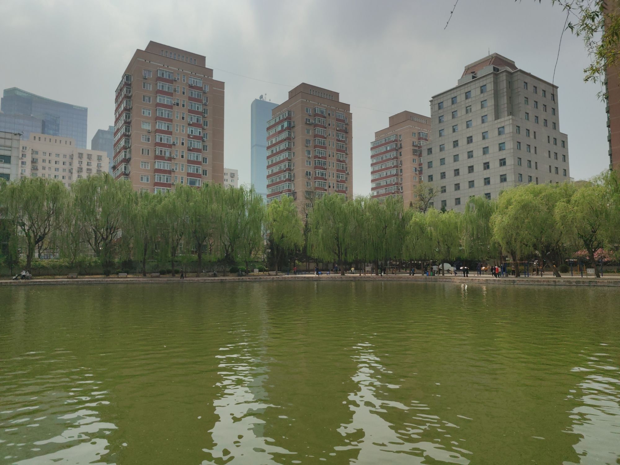 团结湖公园旅行图片 3