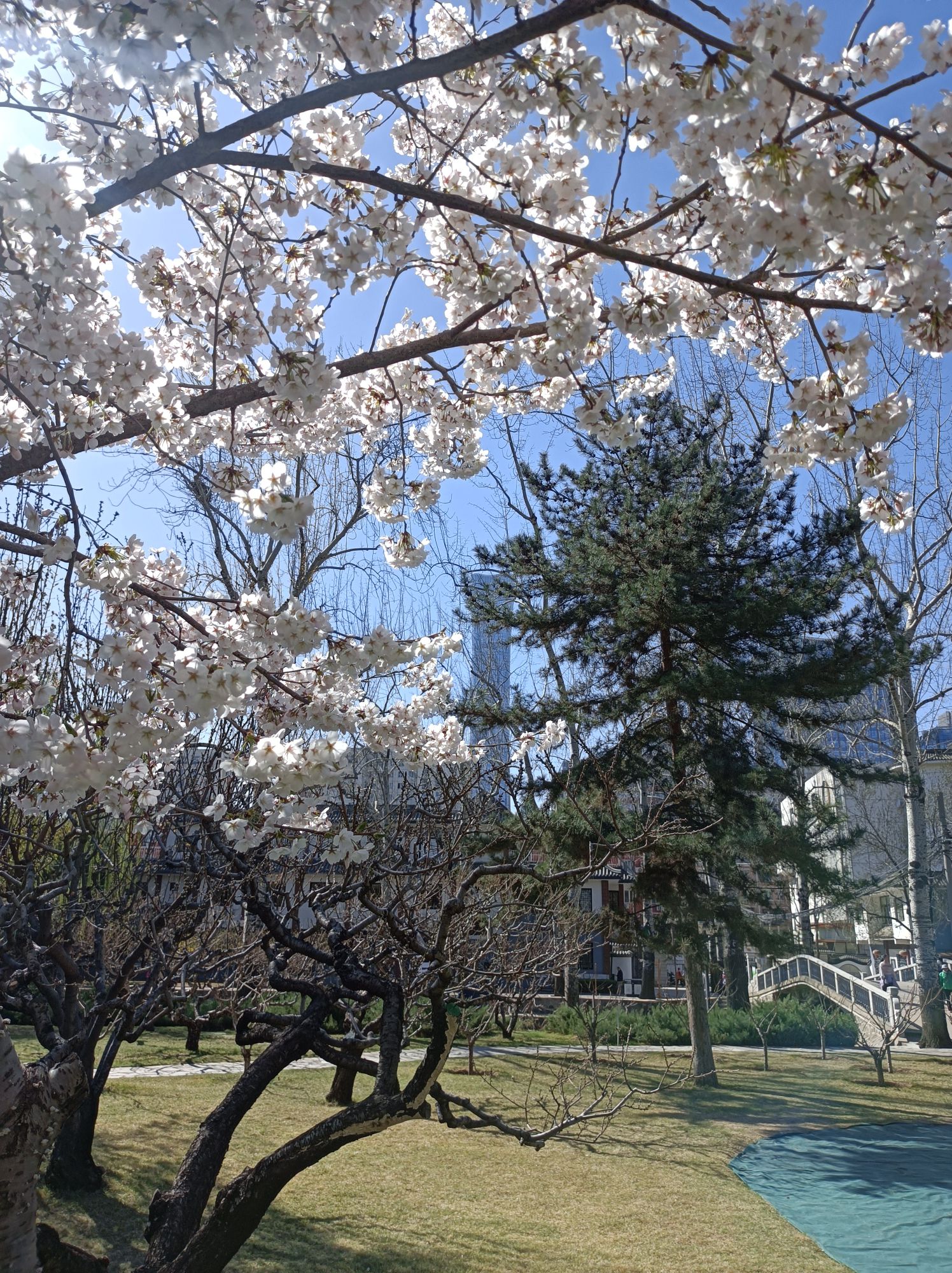 团结湖公园旅行图片 3