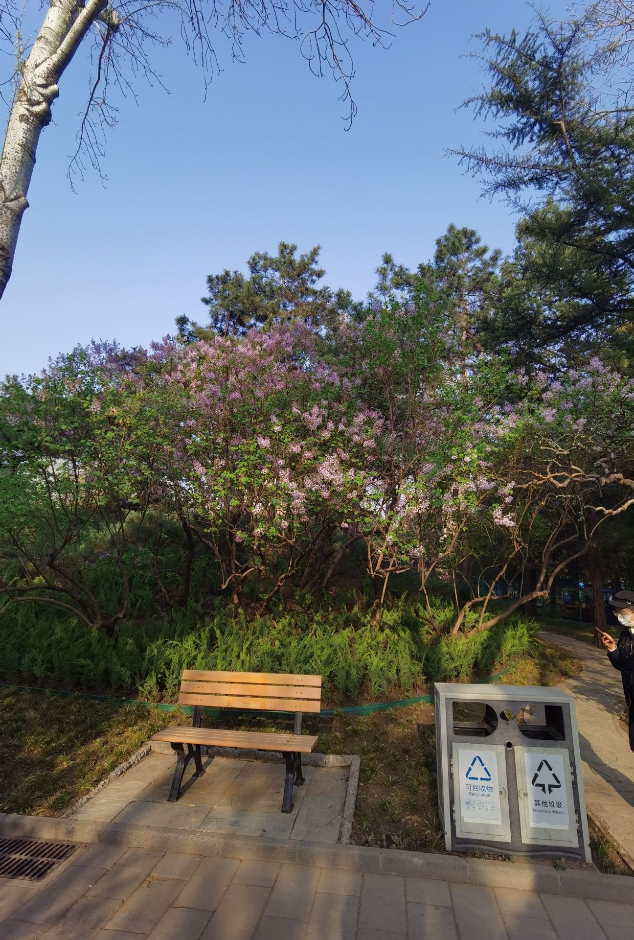 双秀公园旅行图片 1