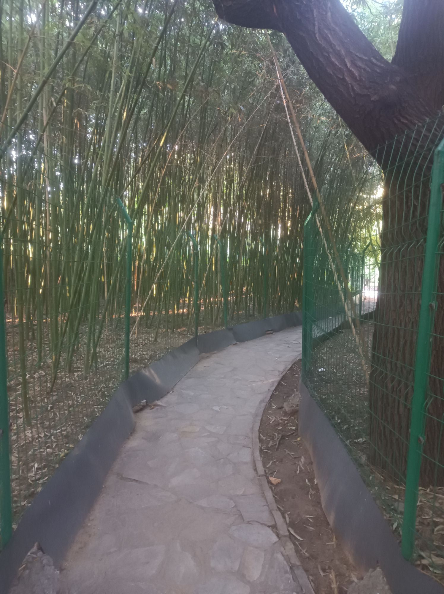 双秀公园旅行图片 3