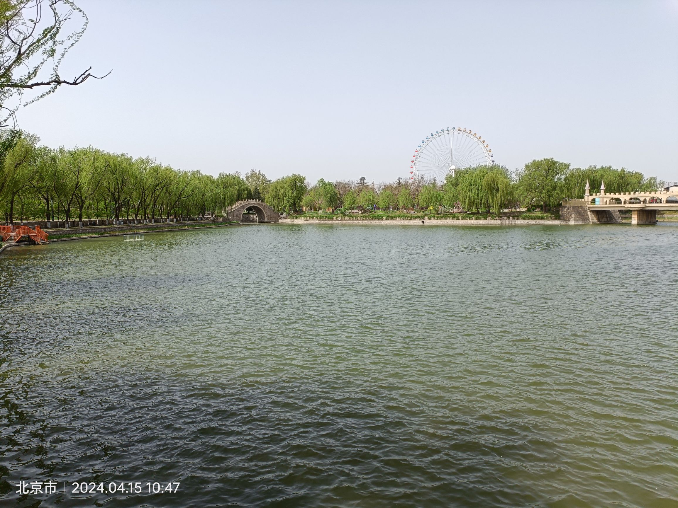 龙潭中湖公园旅行图片 1