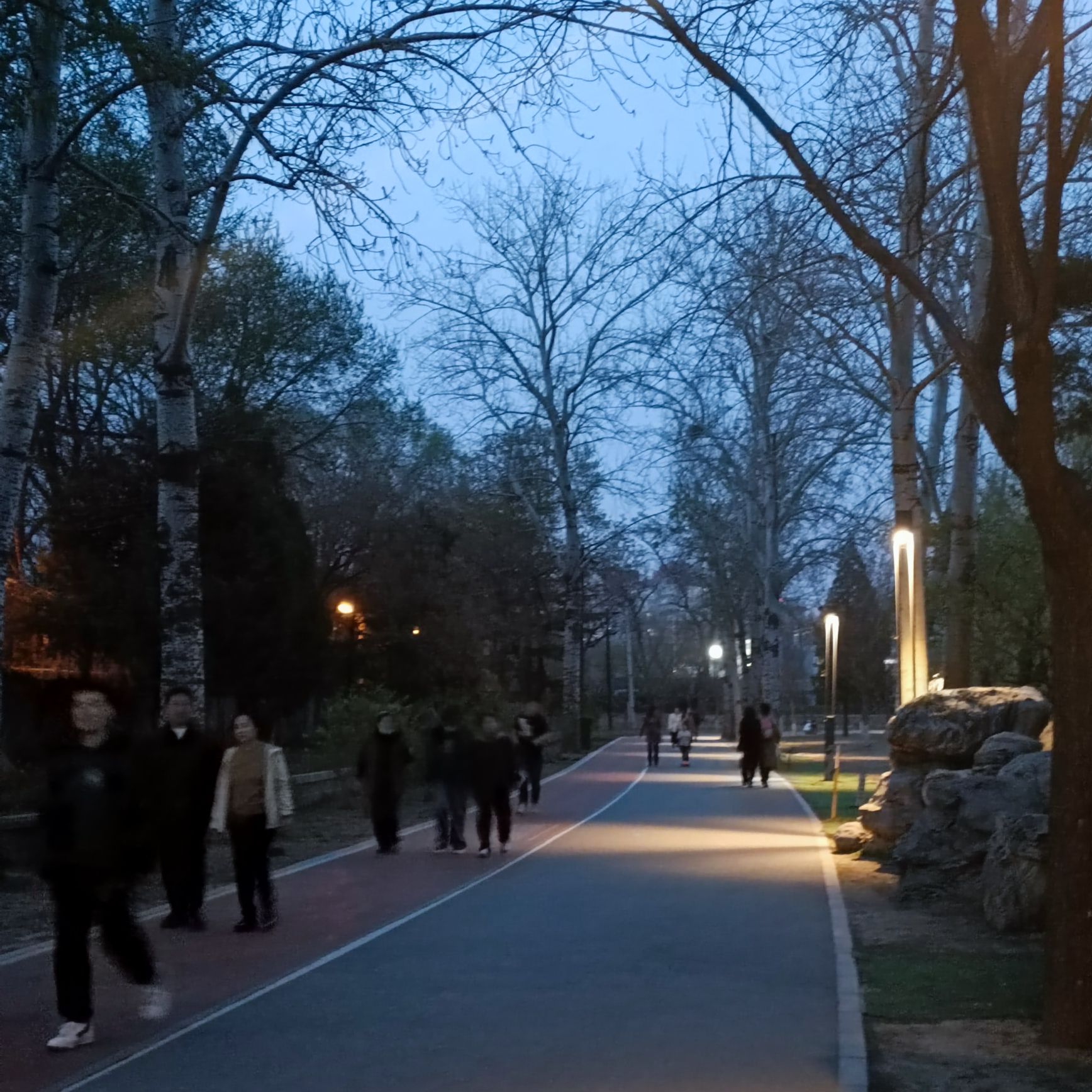 龙潭中湖公园旅行图片 1