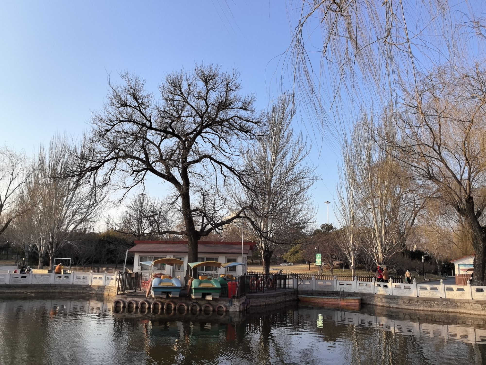丰台花园旅行图片 2