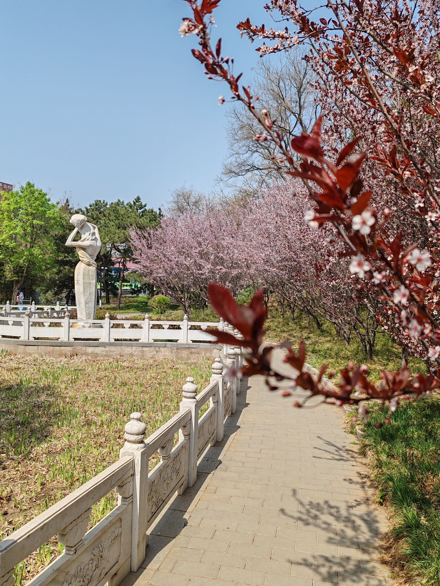 丰台花园旅行图片 2