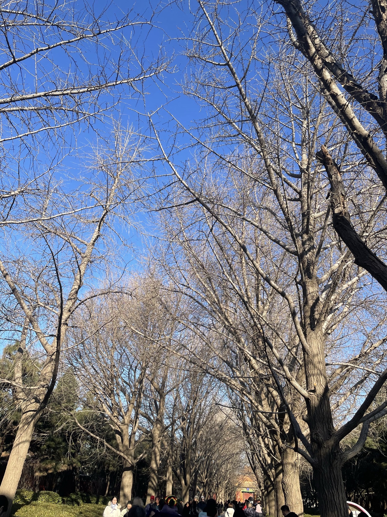 雍和宫旅行图片 2