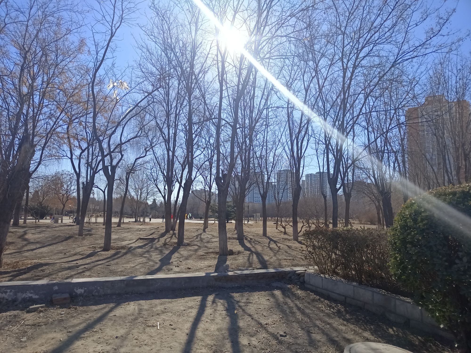 太阳宫公园旅行图片 1