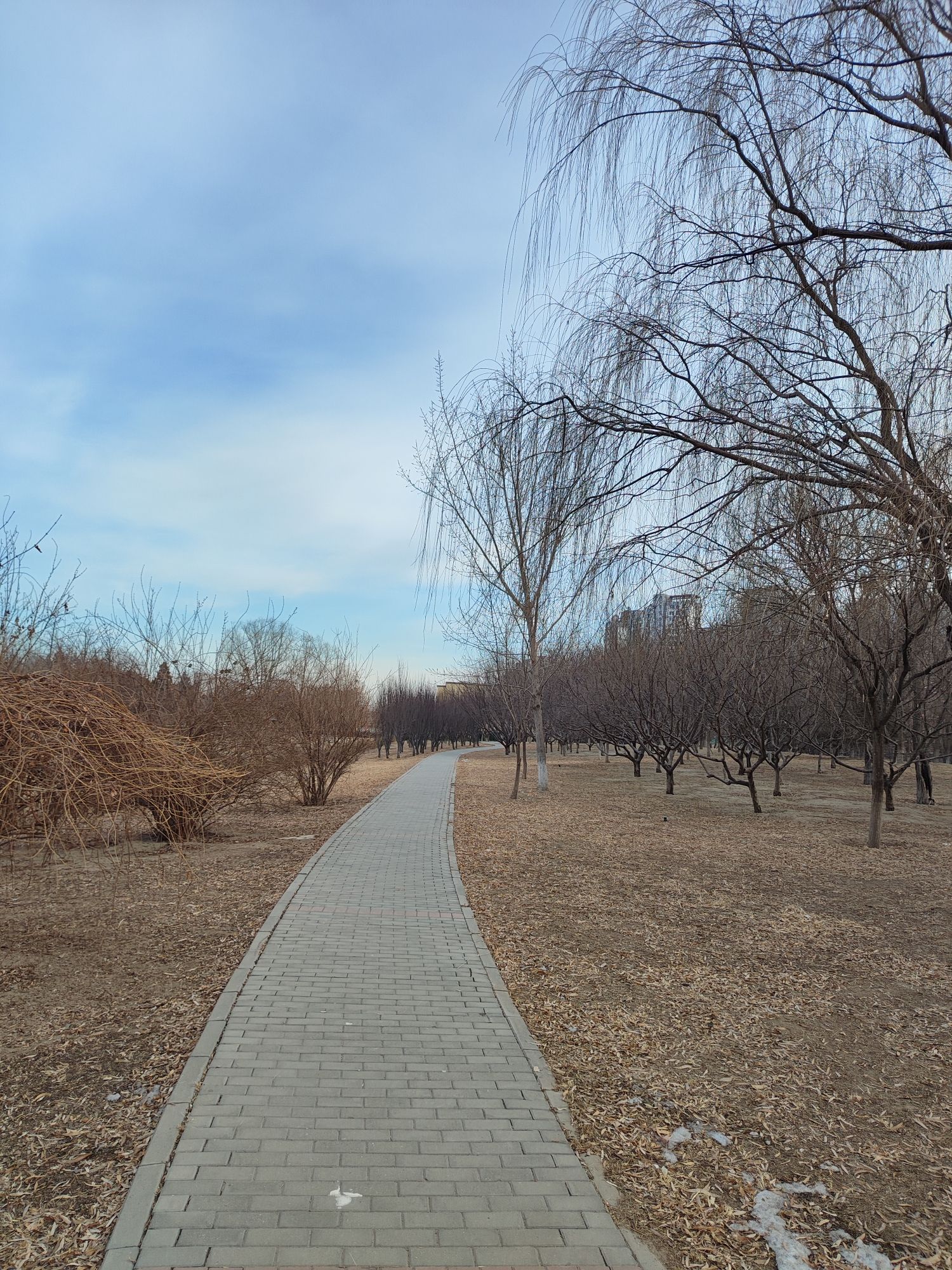 太阳宫公园旅行图片 1