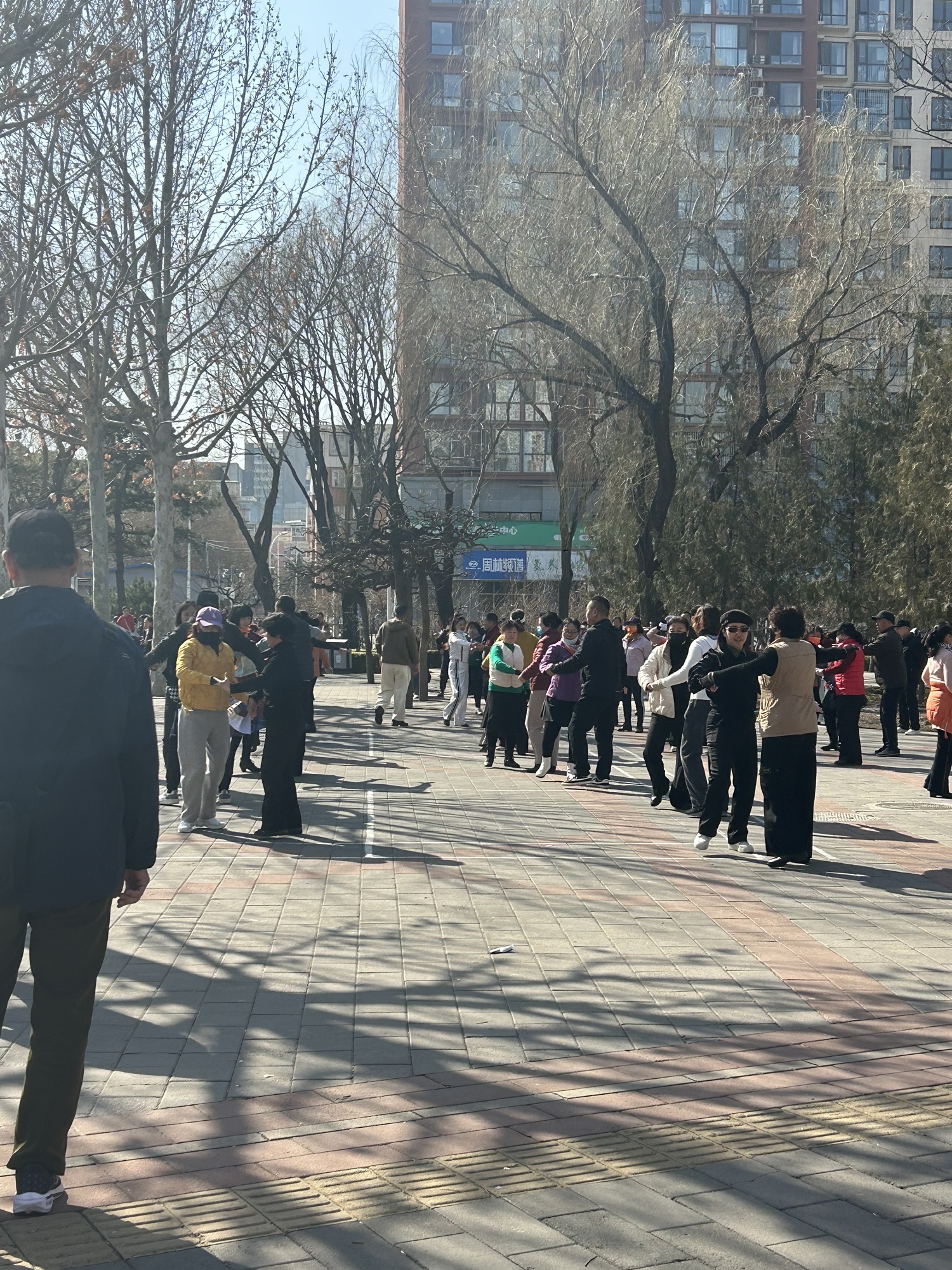 昌平公园旅行图片 1