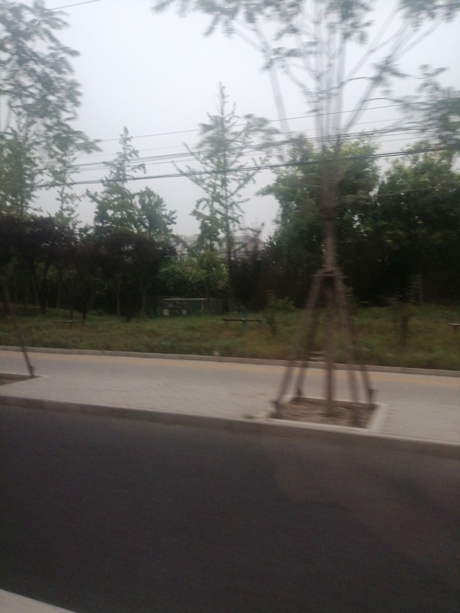 昌平公园旅行图片 3