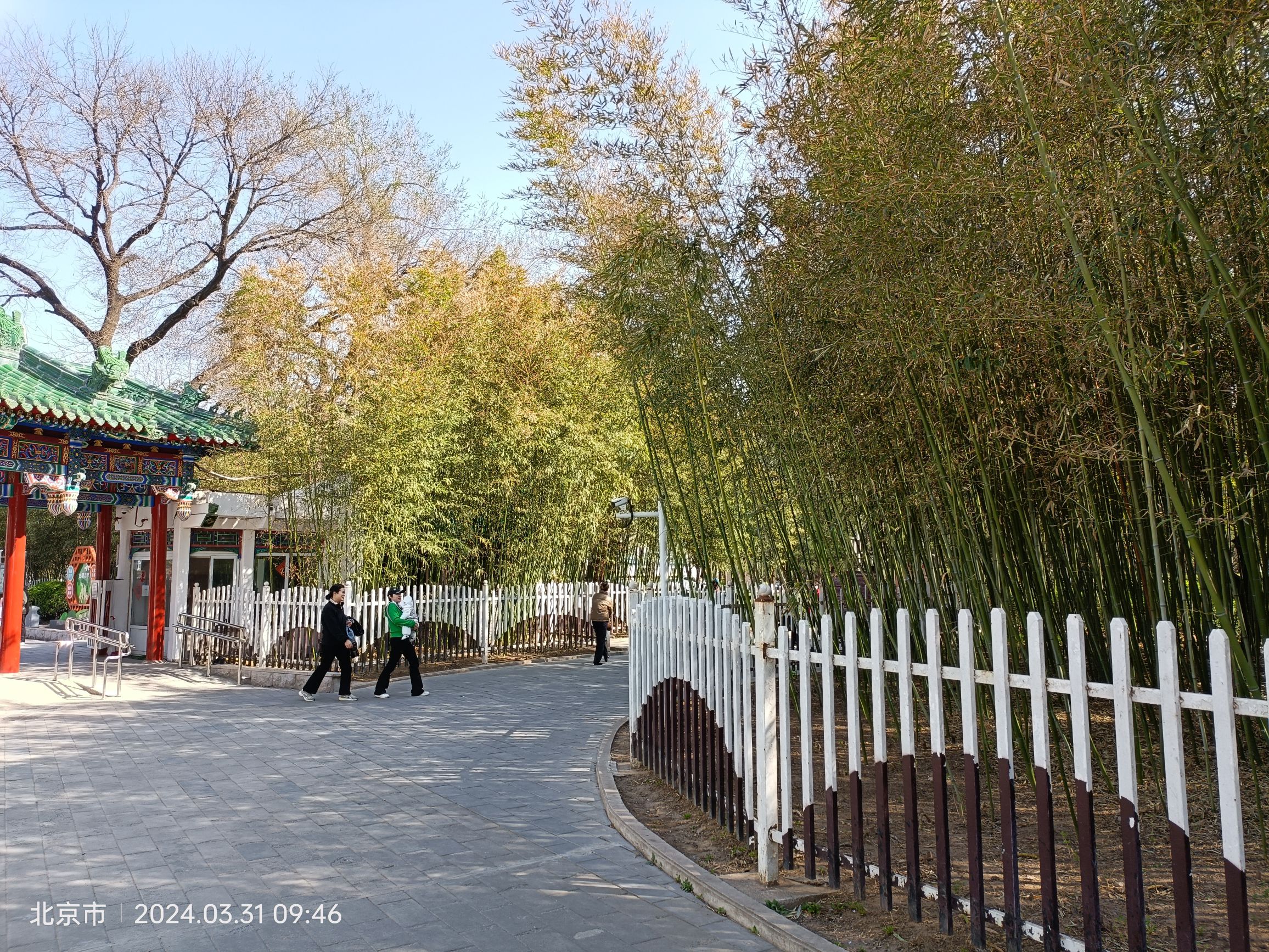 昌平公园旅行图片 2