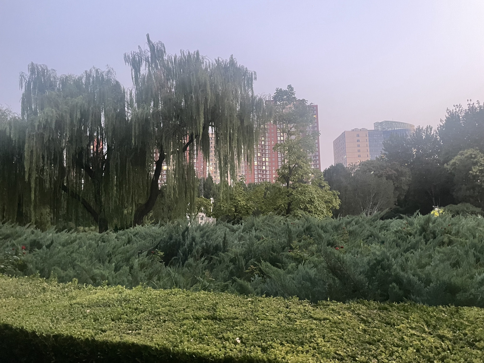 昌平公园旅行图片 2