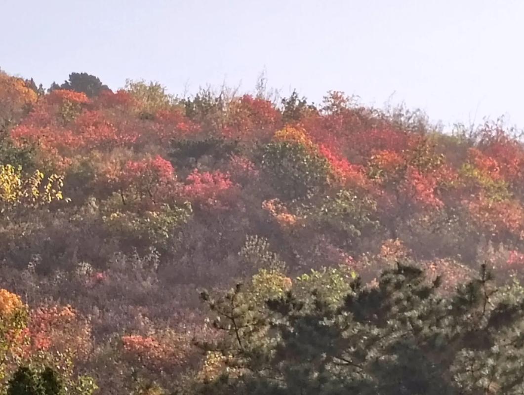 昌平公园旅行图片 3