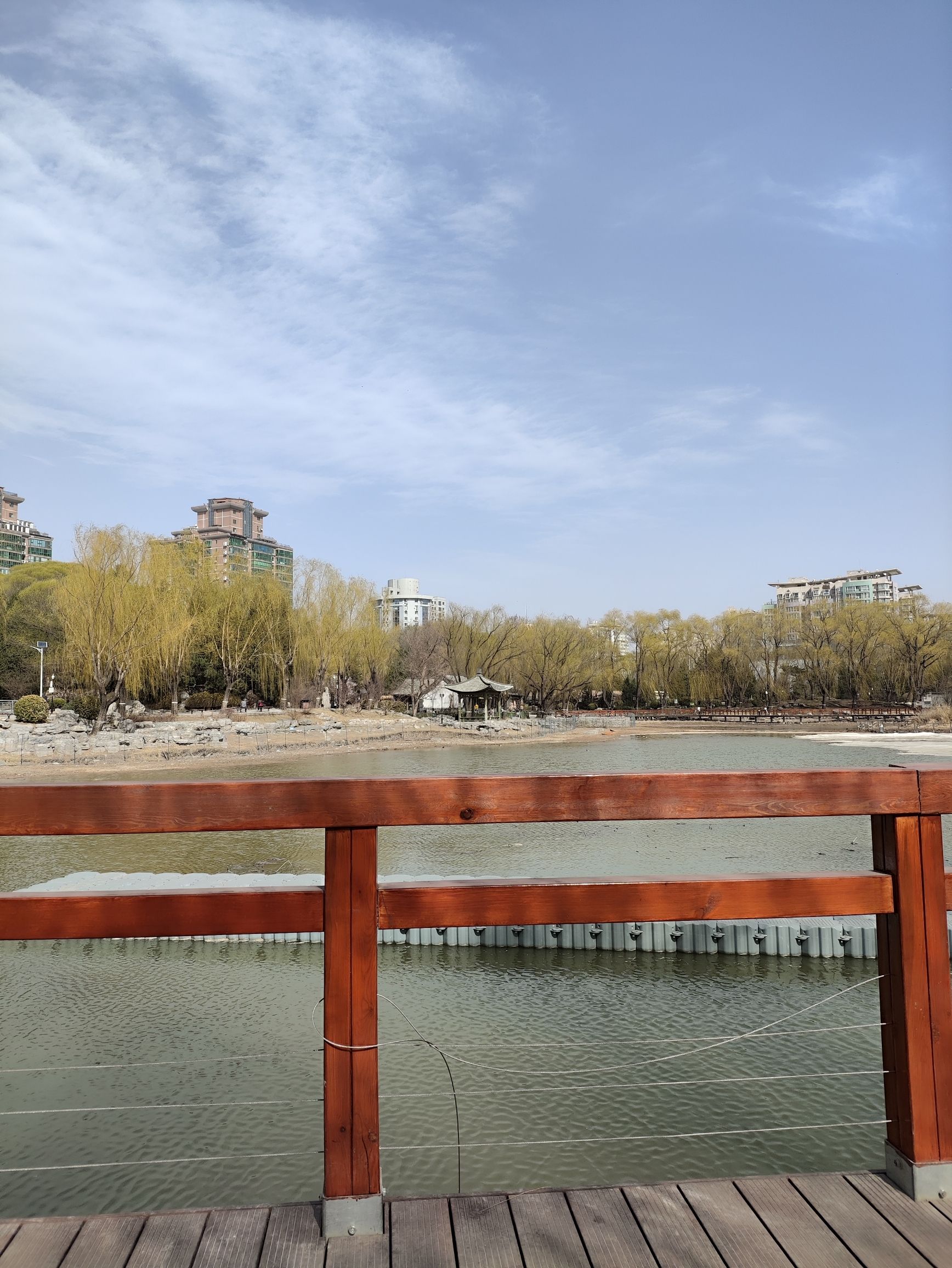 柳荫公园旅行图片 1