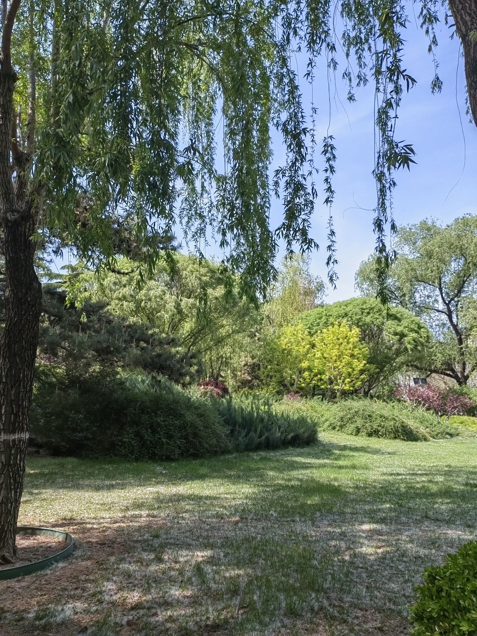 柳荫公园旅行图片 3