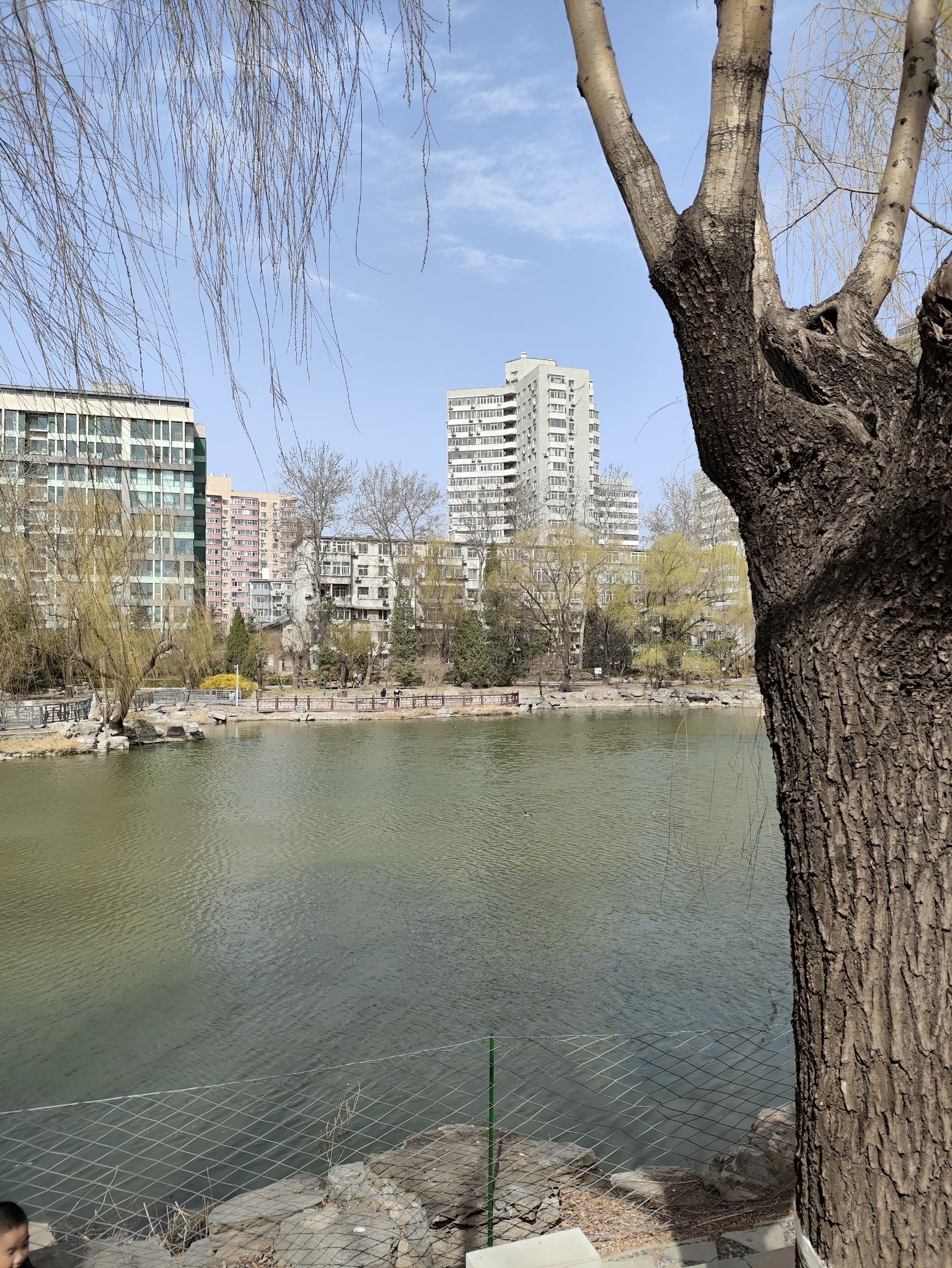 柳荫公园旅行图片 3