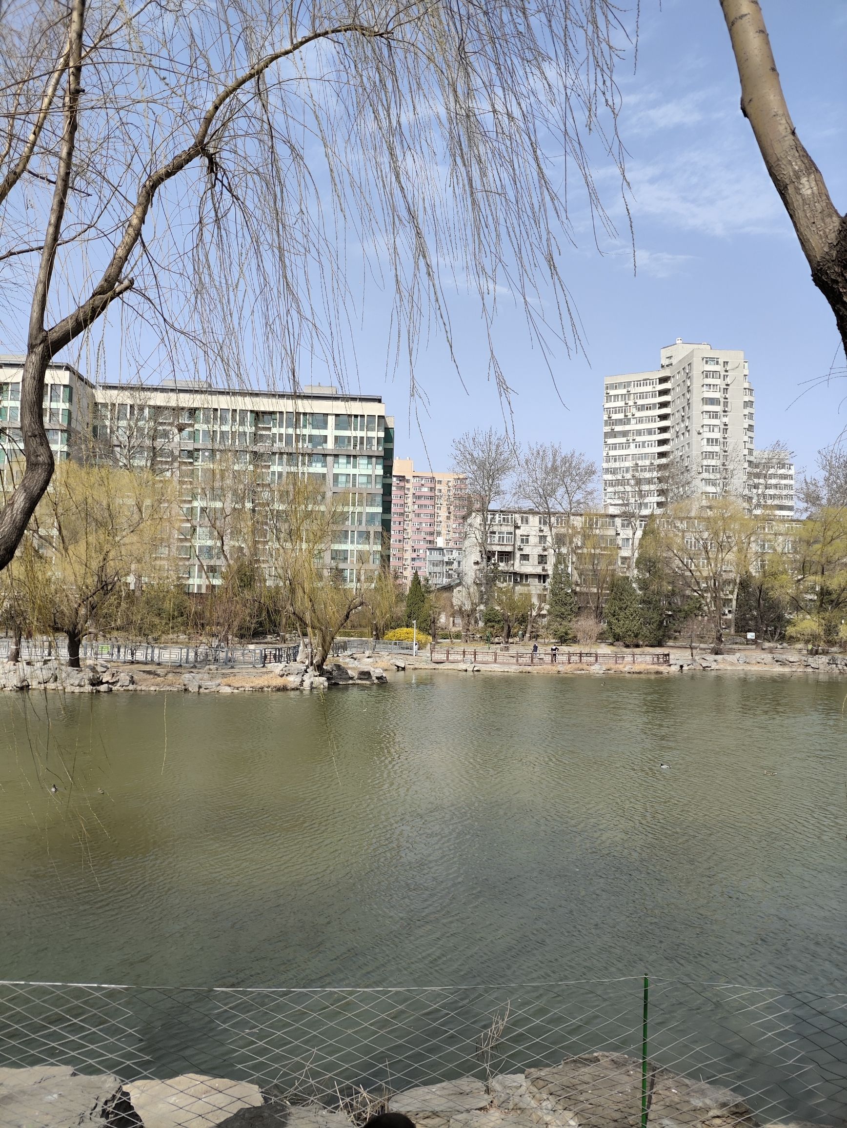 柳荫公园旅行图片 2