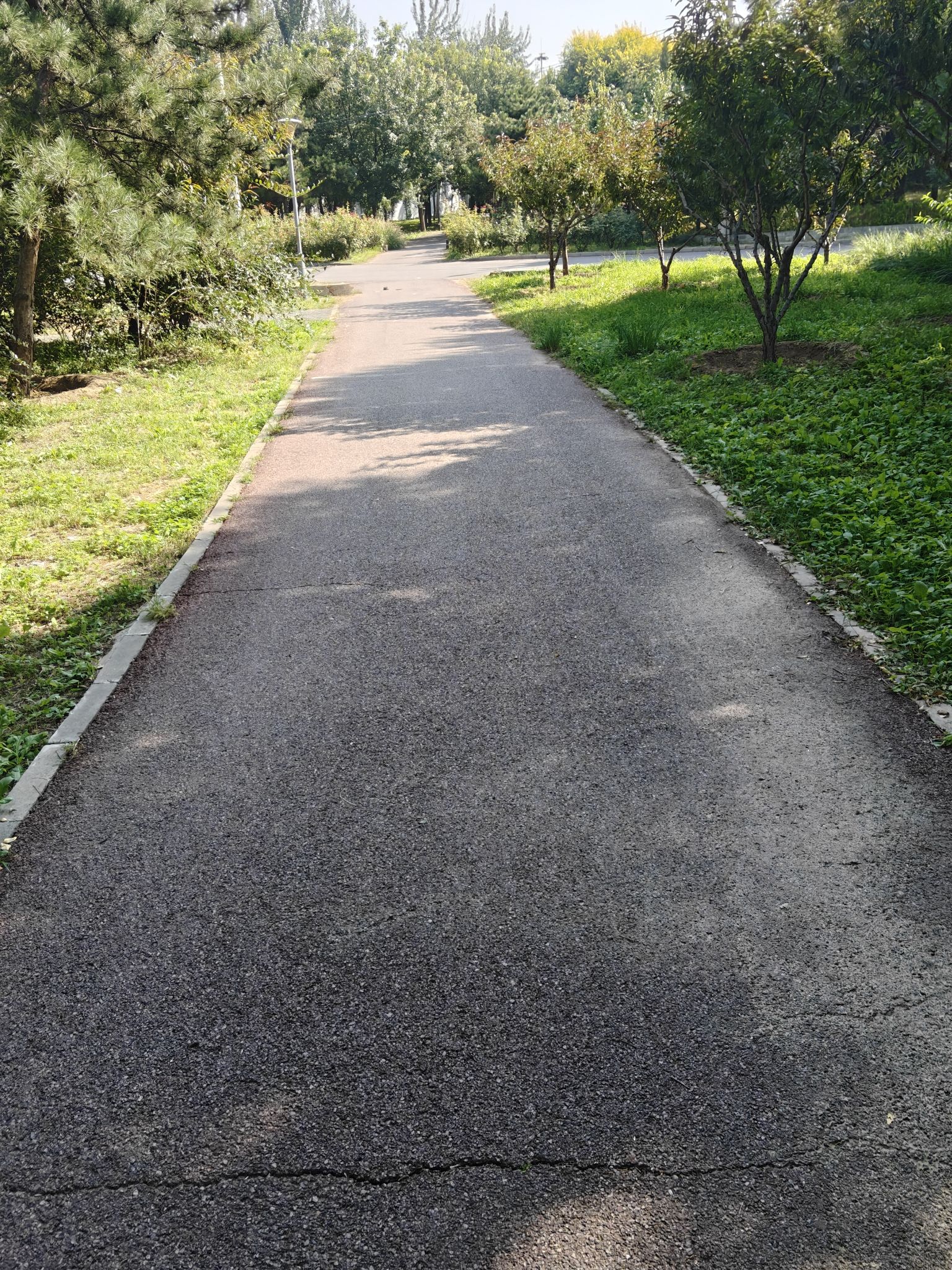 柳荫公园旅行图片 1