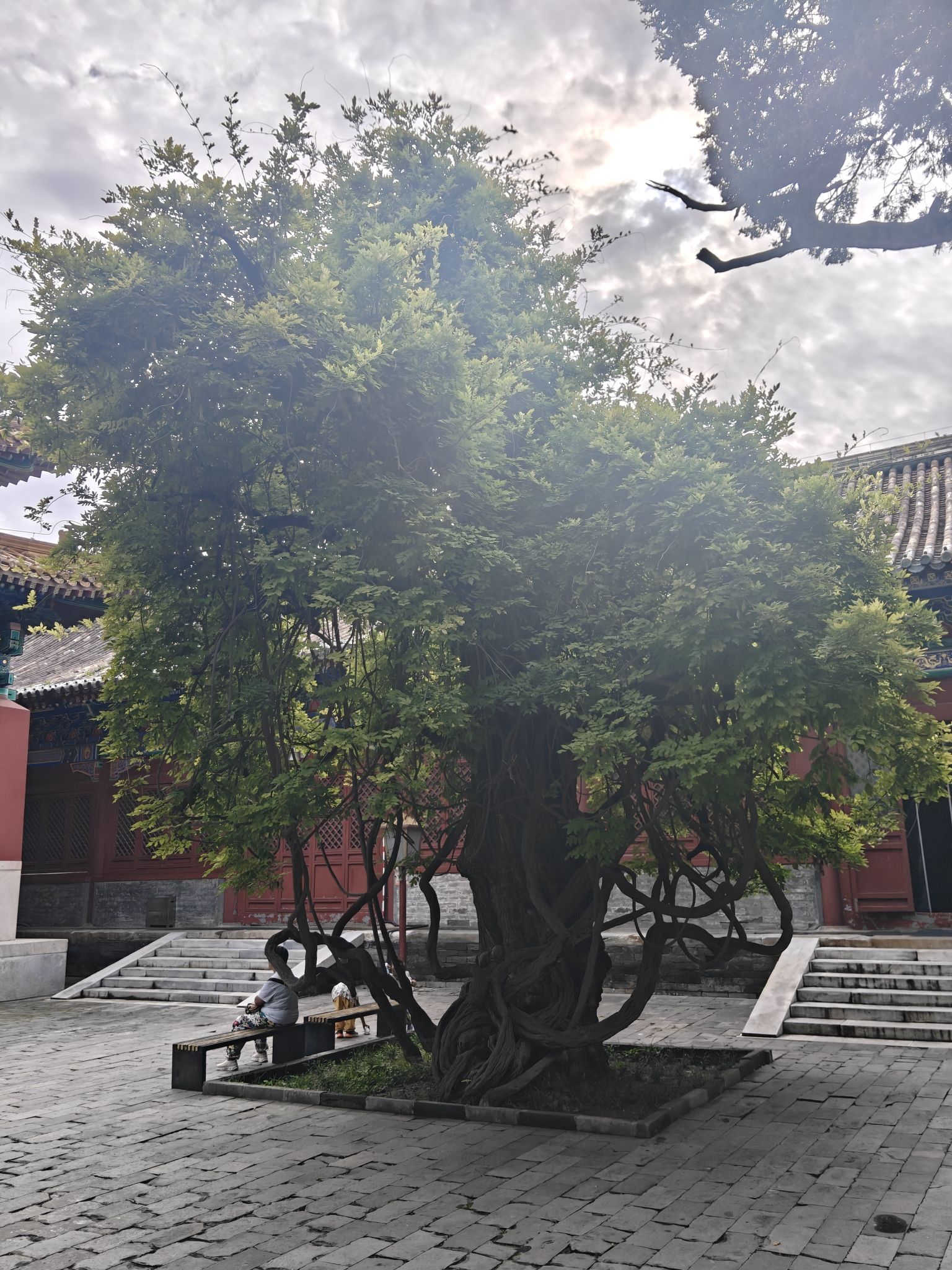 柳荫公园旅行图片 3