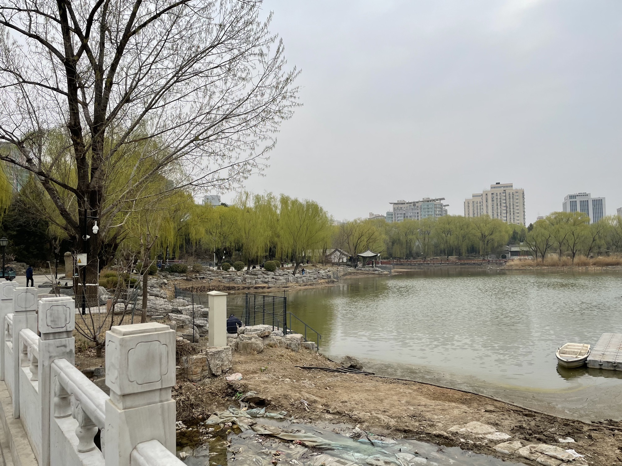 柳荫公园旅行图片 3