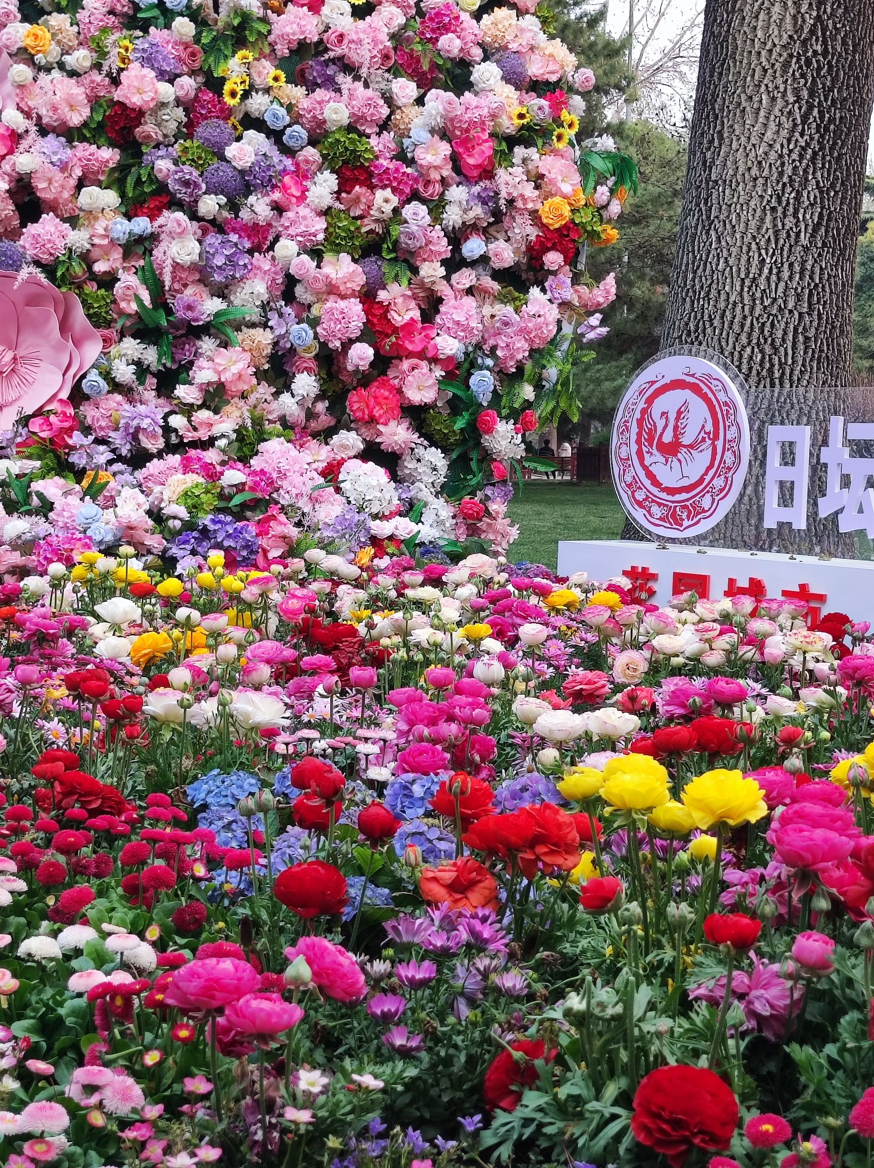 日坛公园旅行图片 1
