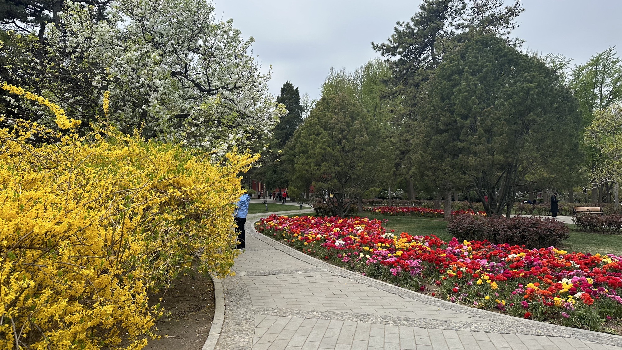 日坛公园旅行图片 3