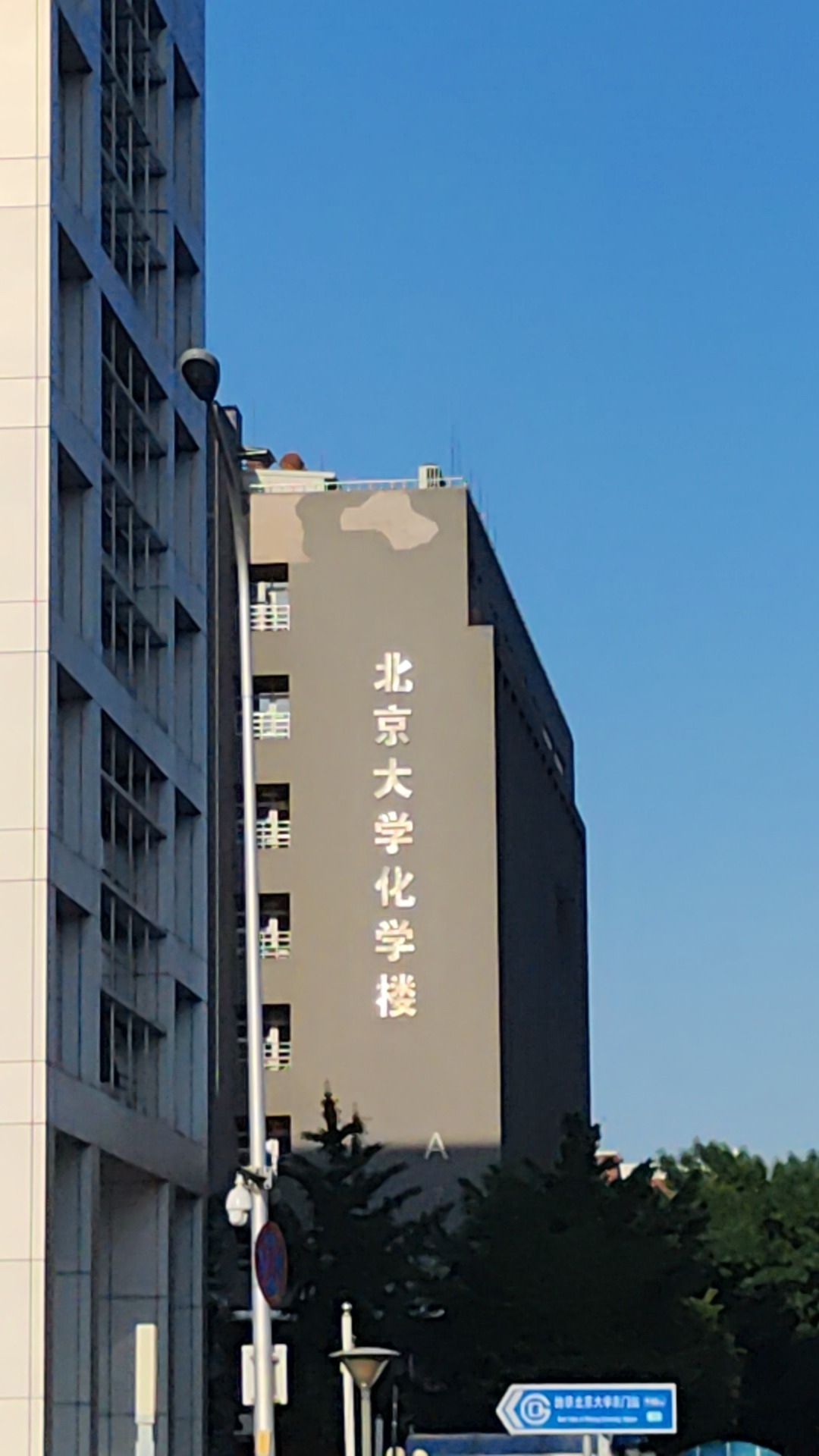 北京大学化学与分子工程学院