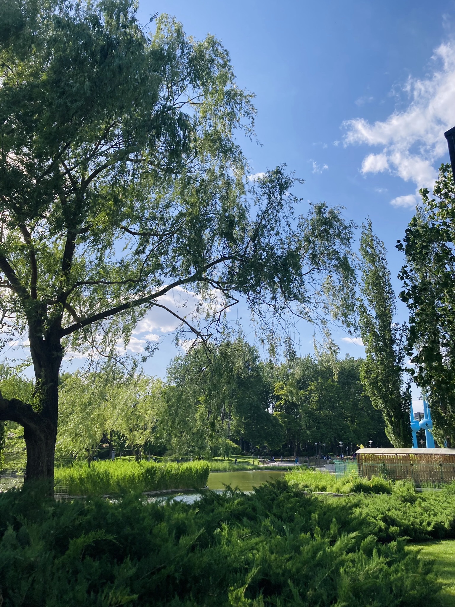 人定湖公园旅行图片 2