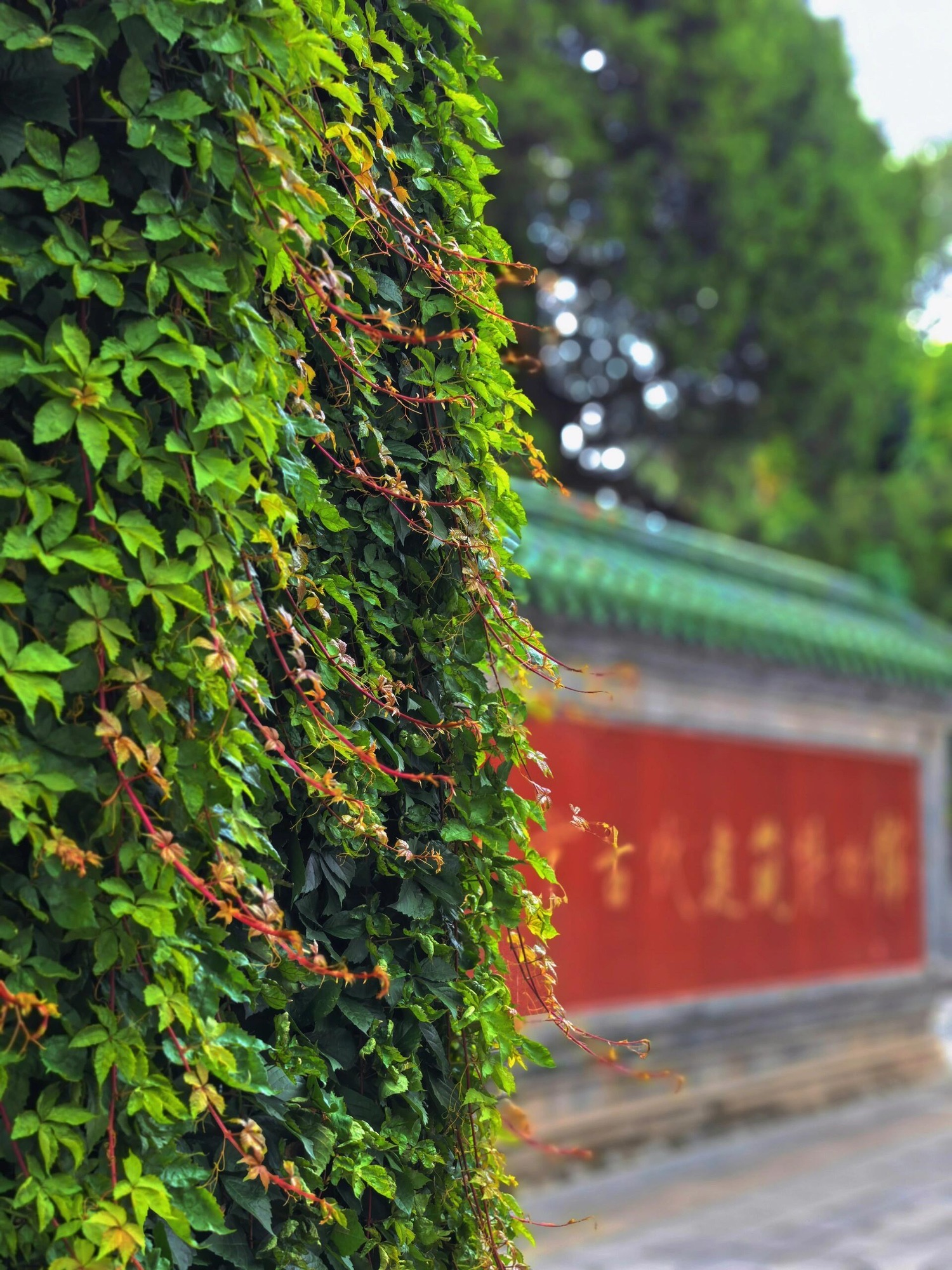 先农坛旅行图片 3