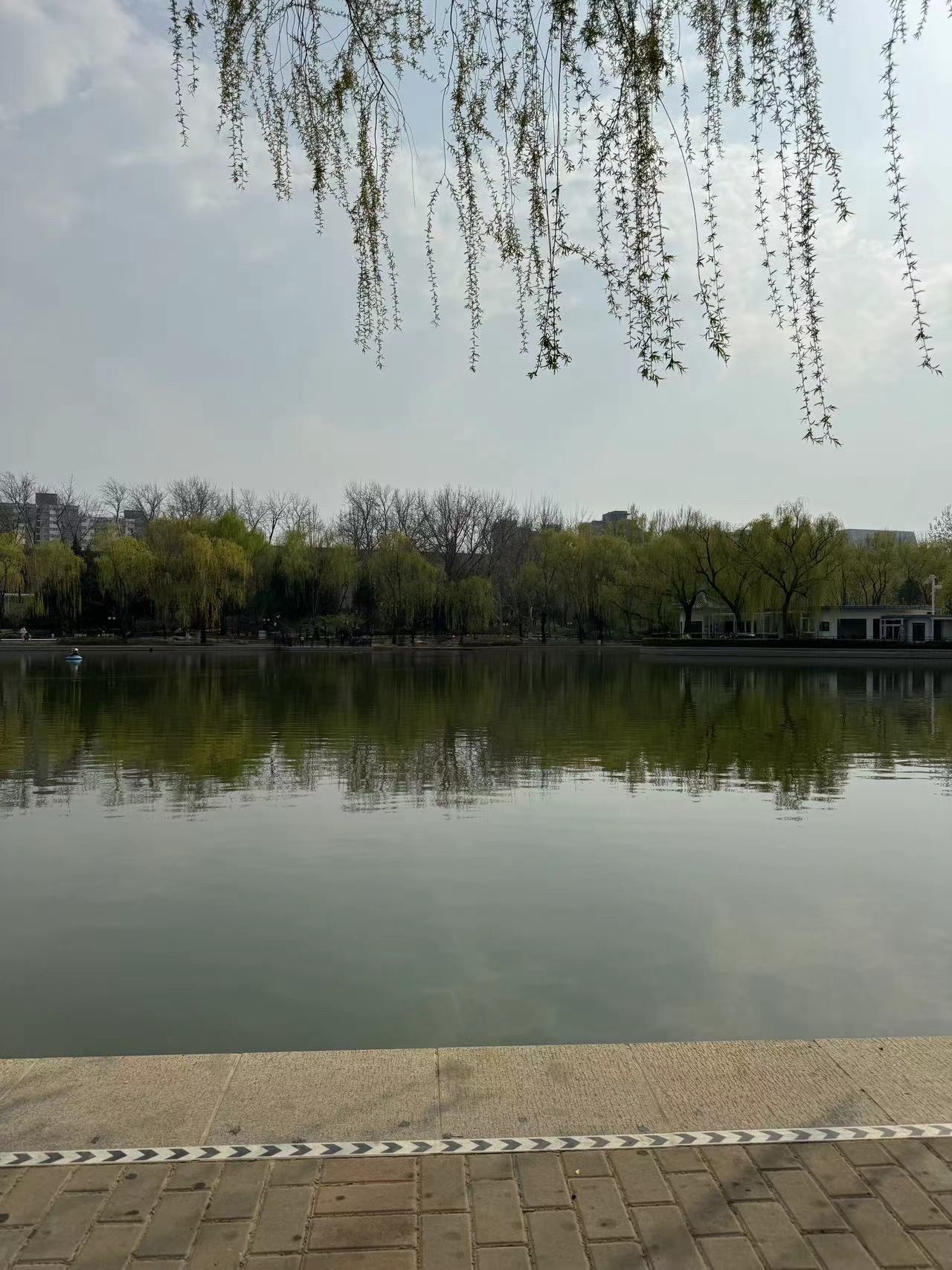 青年湖全龄友好公园旅行图片 2