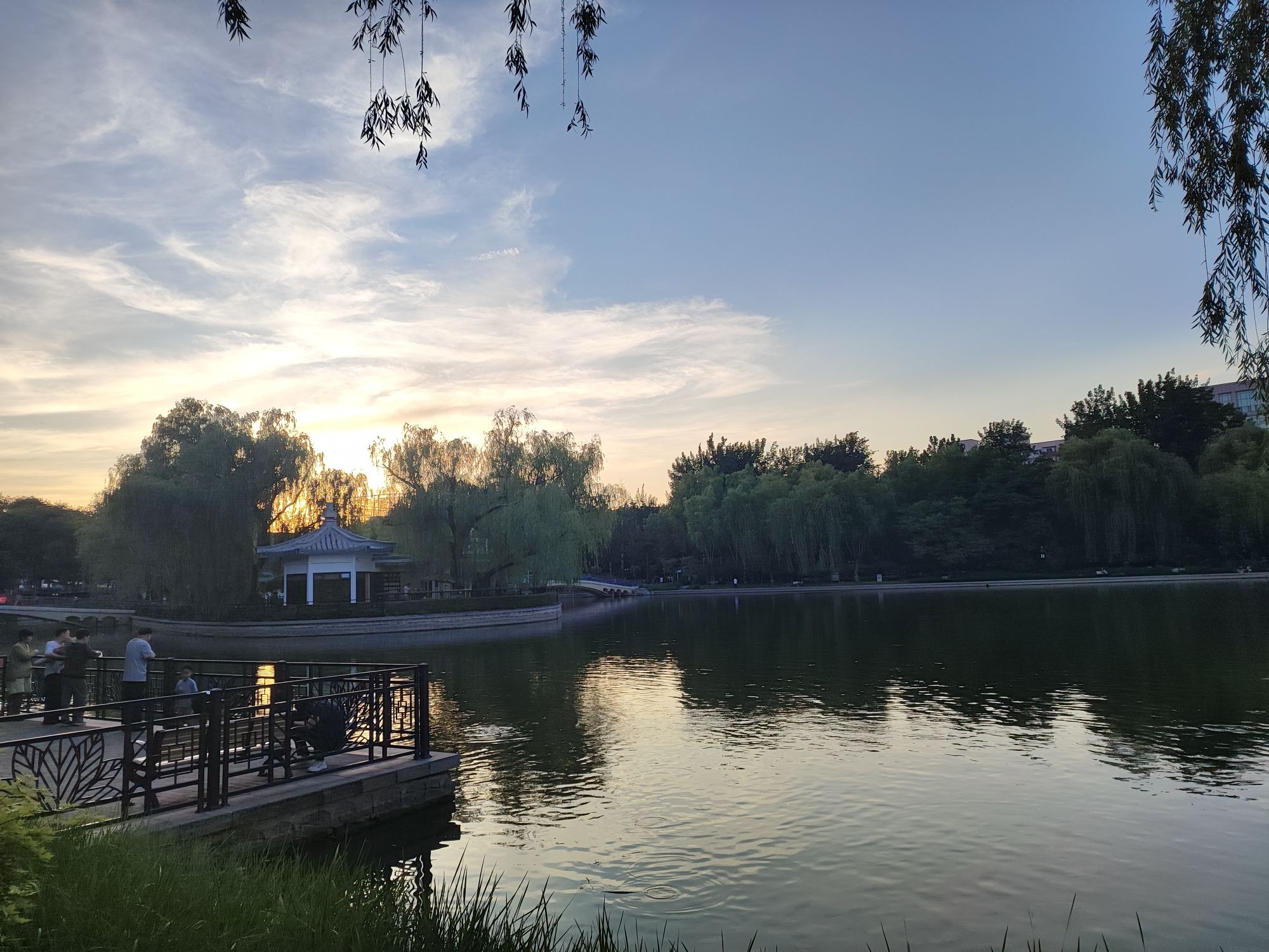 青年湖全龄友好公园旅行图片 3