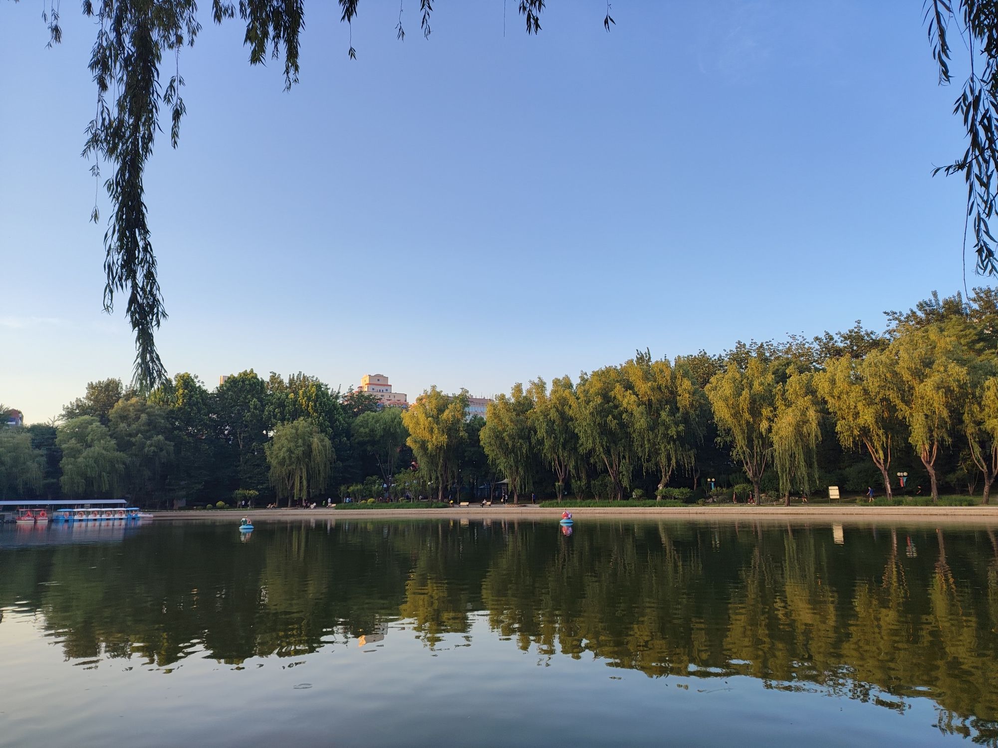 青年湖全龄友好公园旅行图片 2