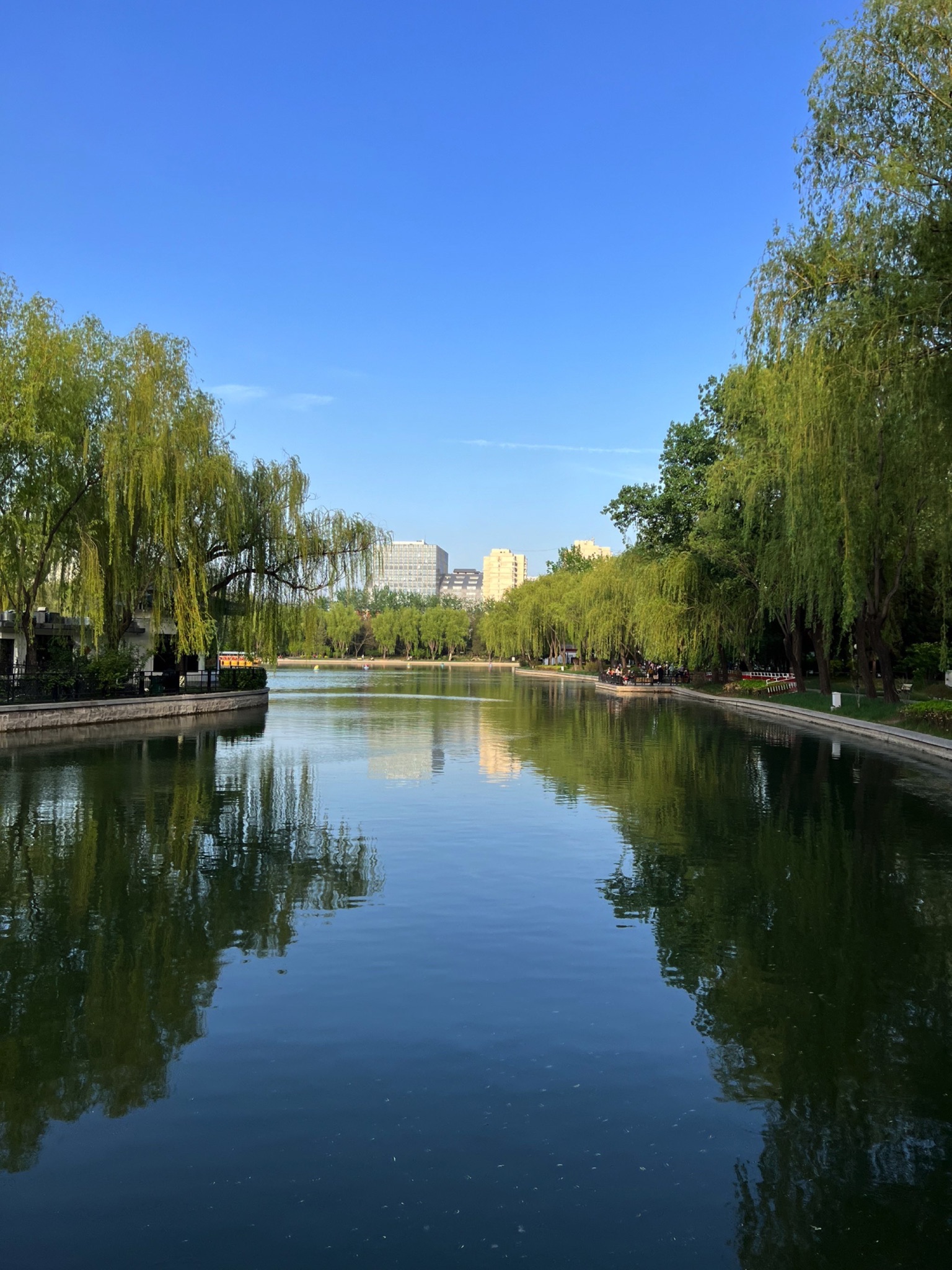 青年湖全龄友好公园旅行图片 1