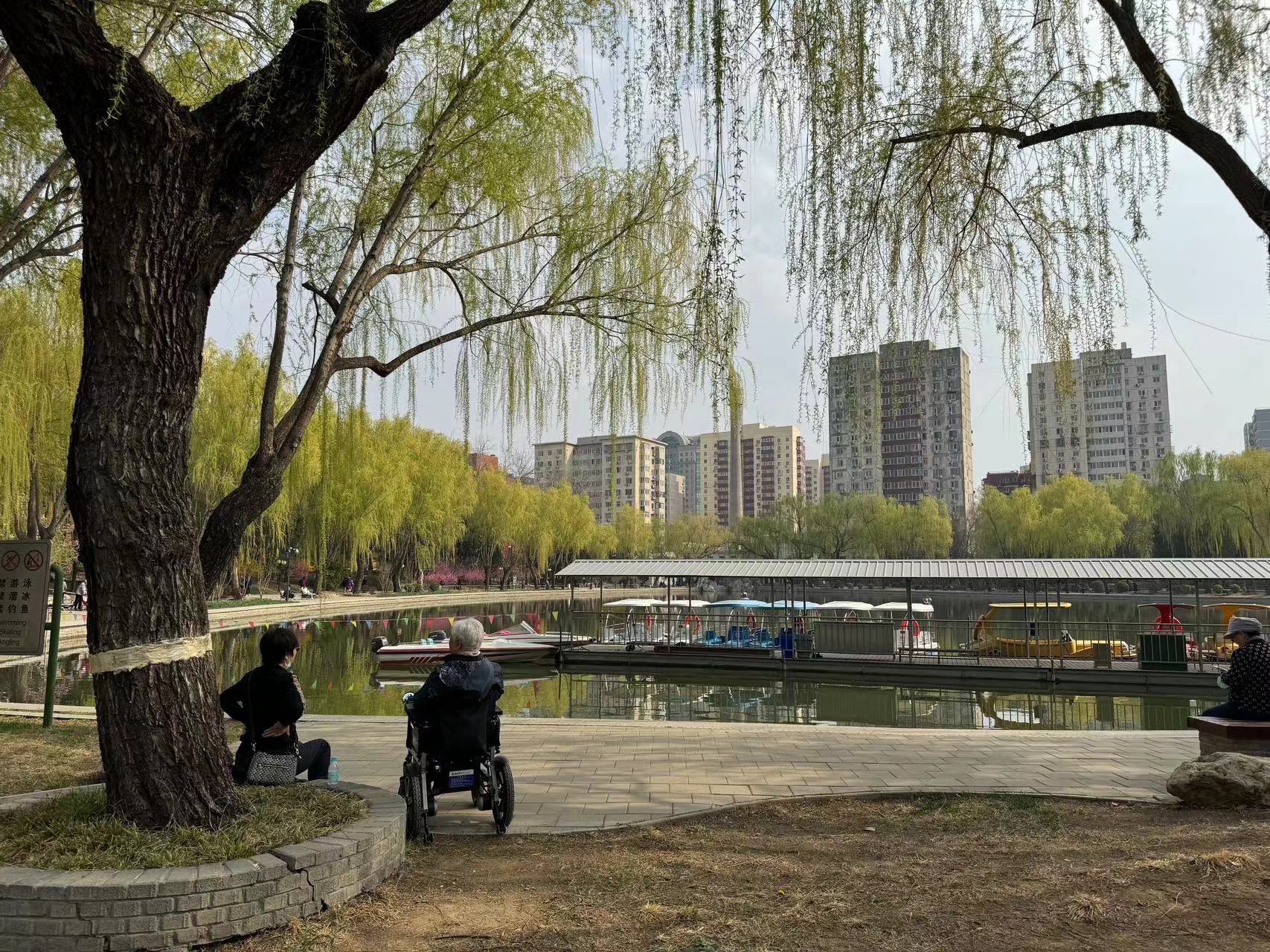 青年湖全龄友好公园旅行图片 1