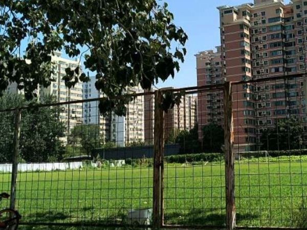 宝联体育公园旅行图片 2