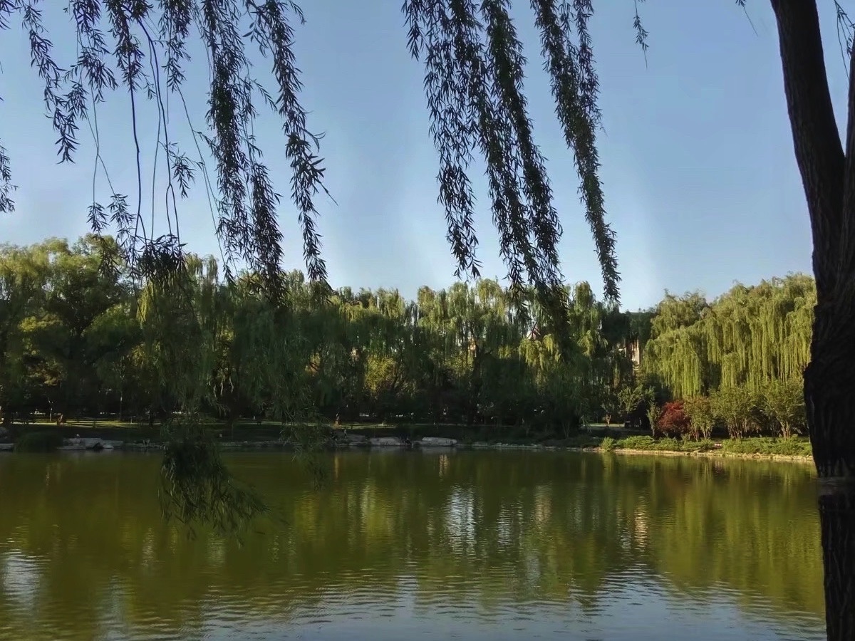 龙潭公园旅行图片 2