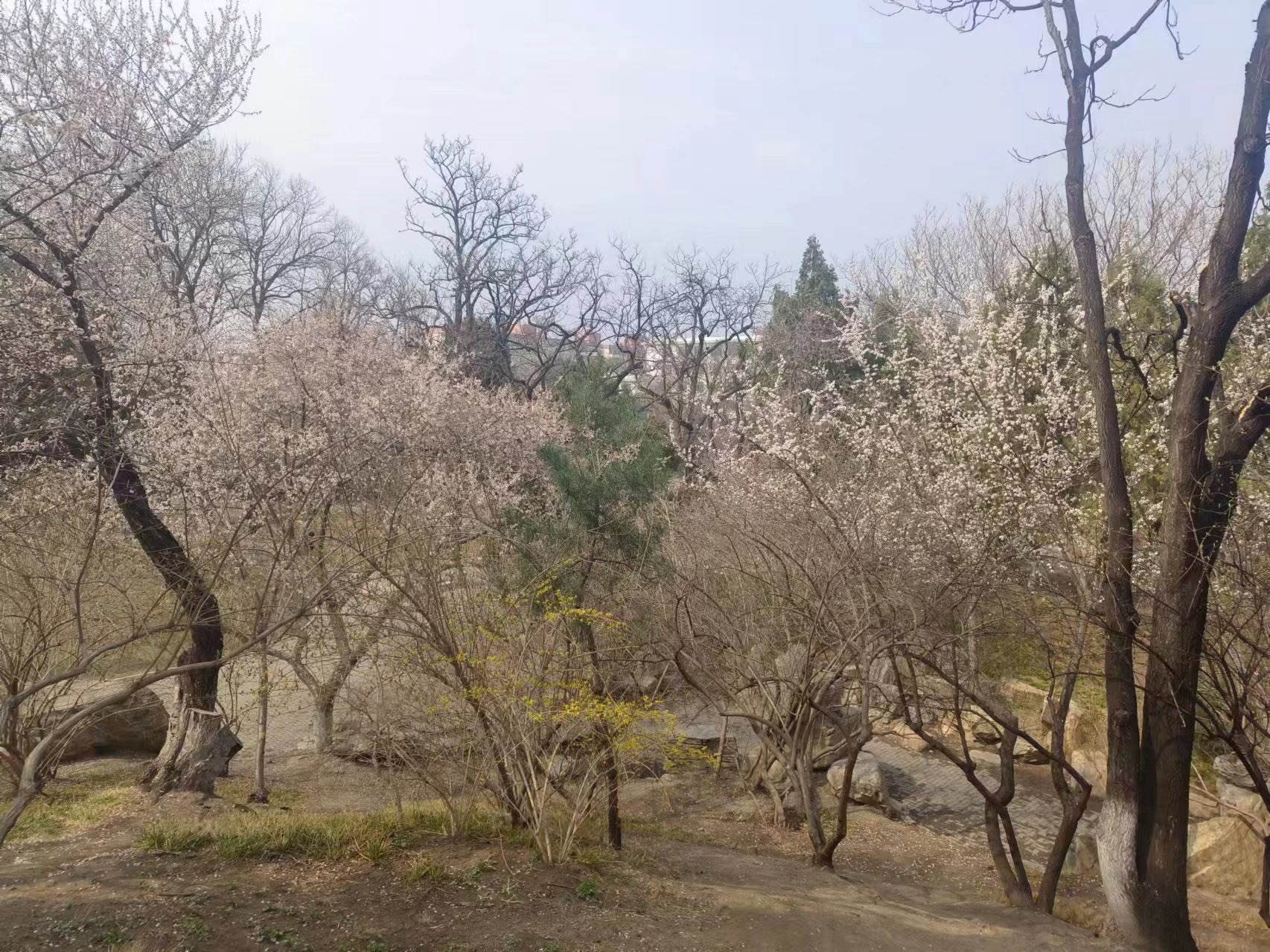 龙潭公园旅行图片 3
