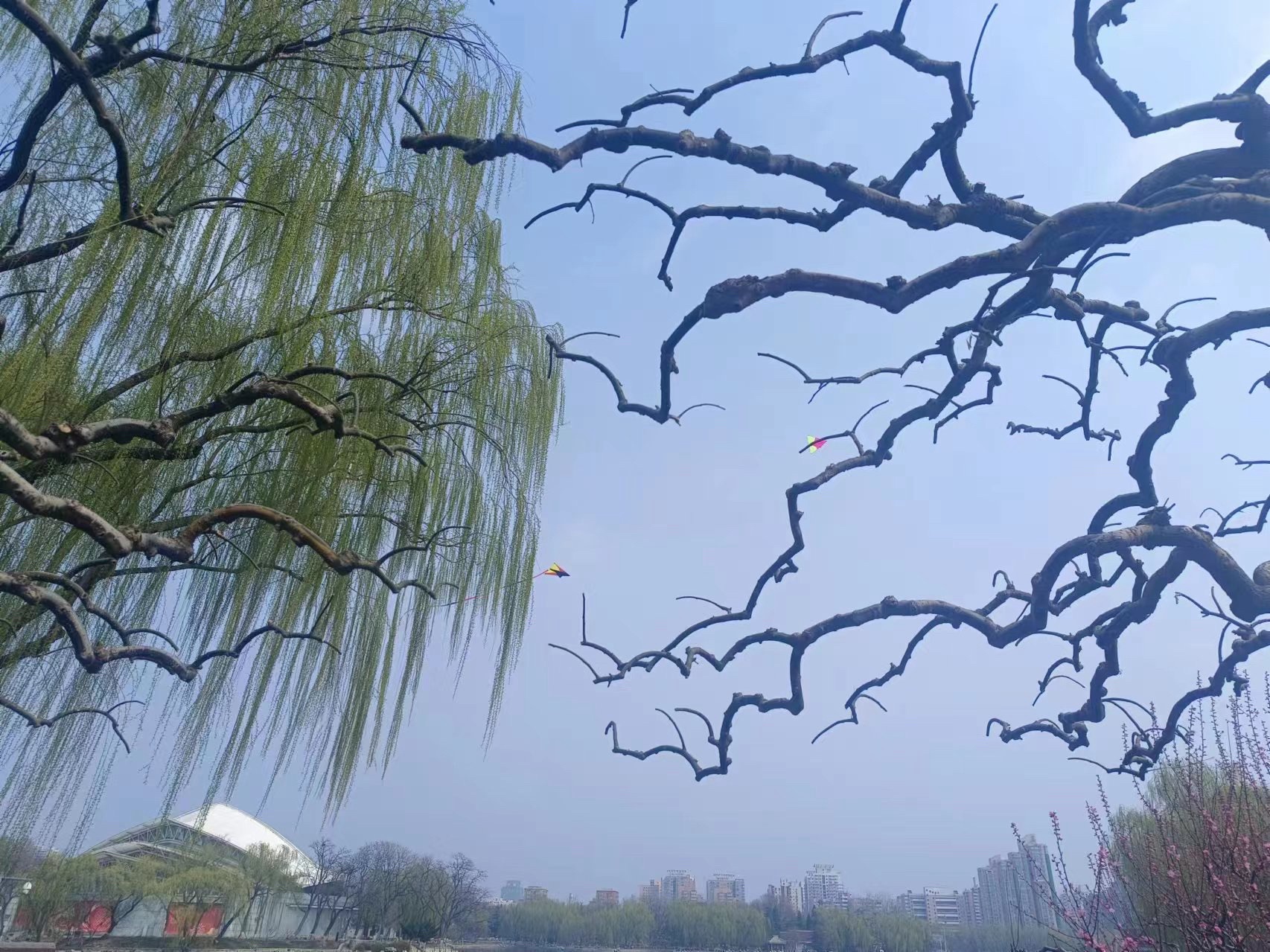 龙潭公园旅行图片 2